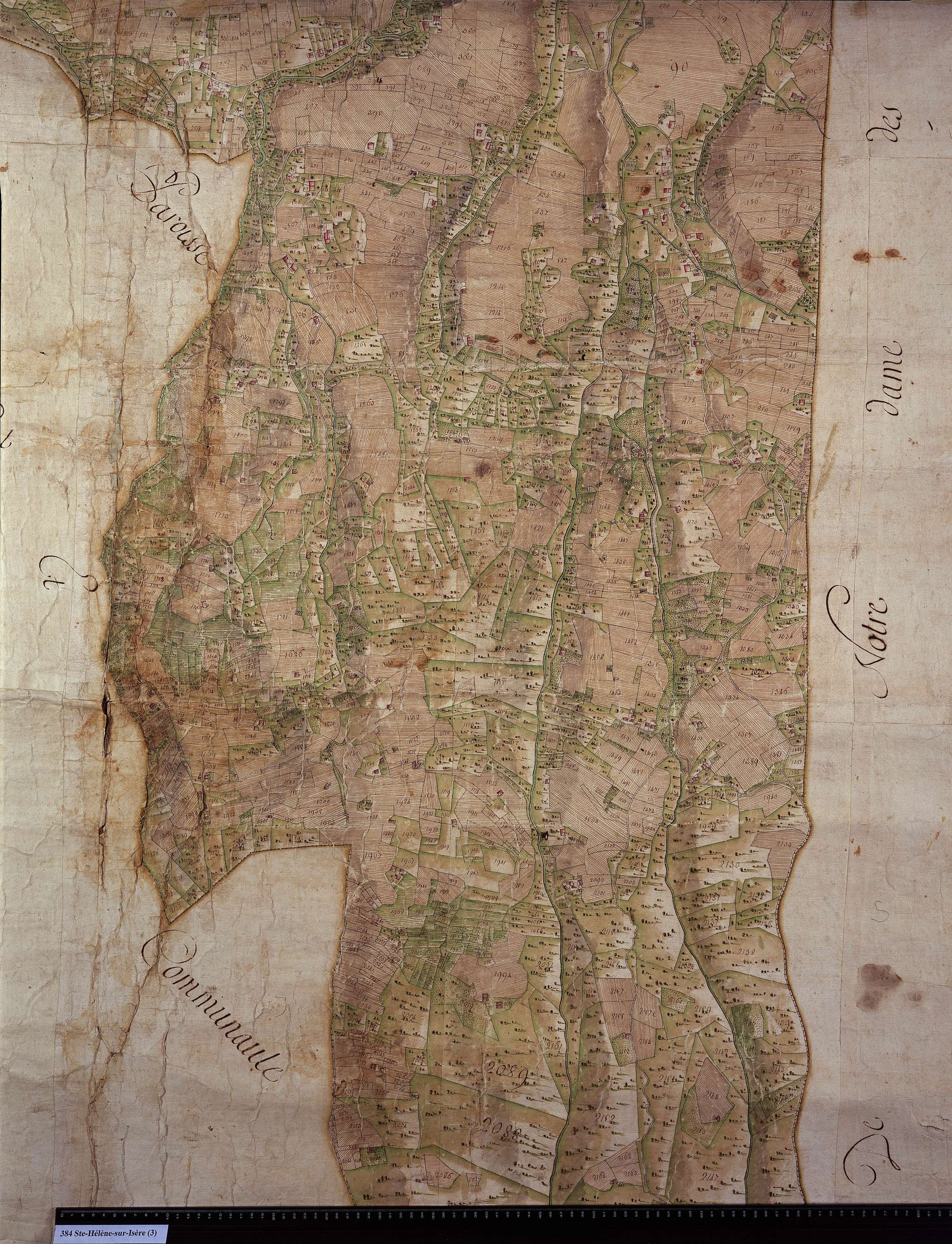 Sainte-Hélène-sur-Isère - Copie de la mappe originale (plan cadastral) de la commune de Sainte-Hélène-des-Millières. Signée Cocelli, directeur de la péréquation.