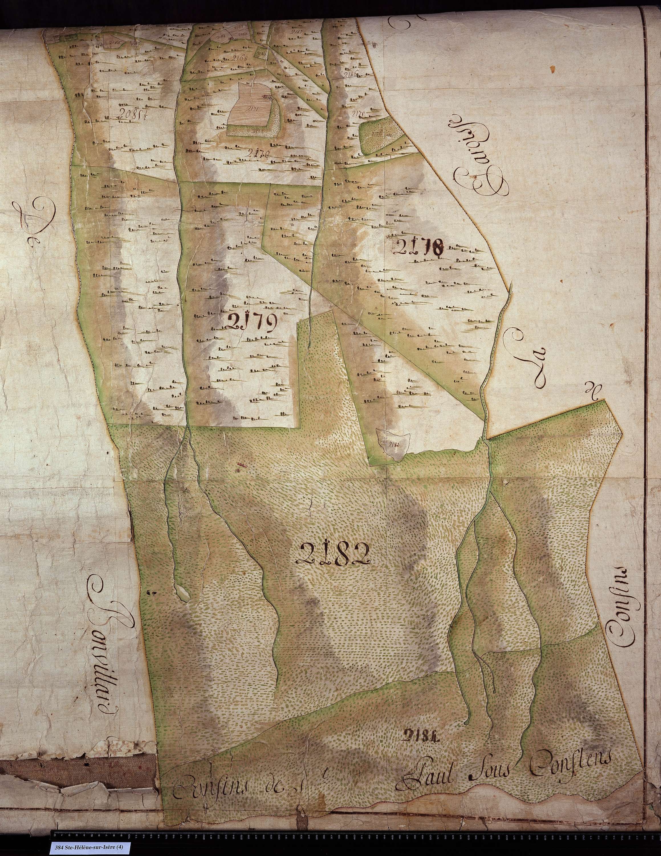 Sainte-Hélène-sur-Isère - Copie de la mappe originale (plan cadastral) de la commune de Sainte-Hélène-des-Millières. Signée Cocelli, directeur de la péréquation.