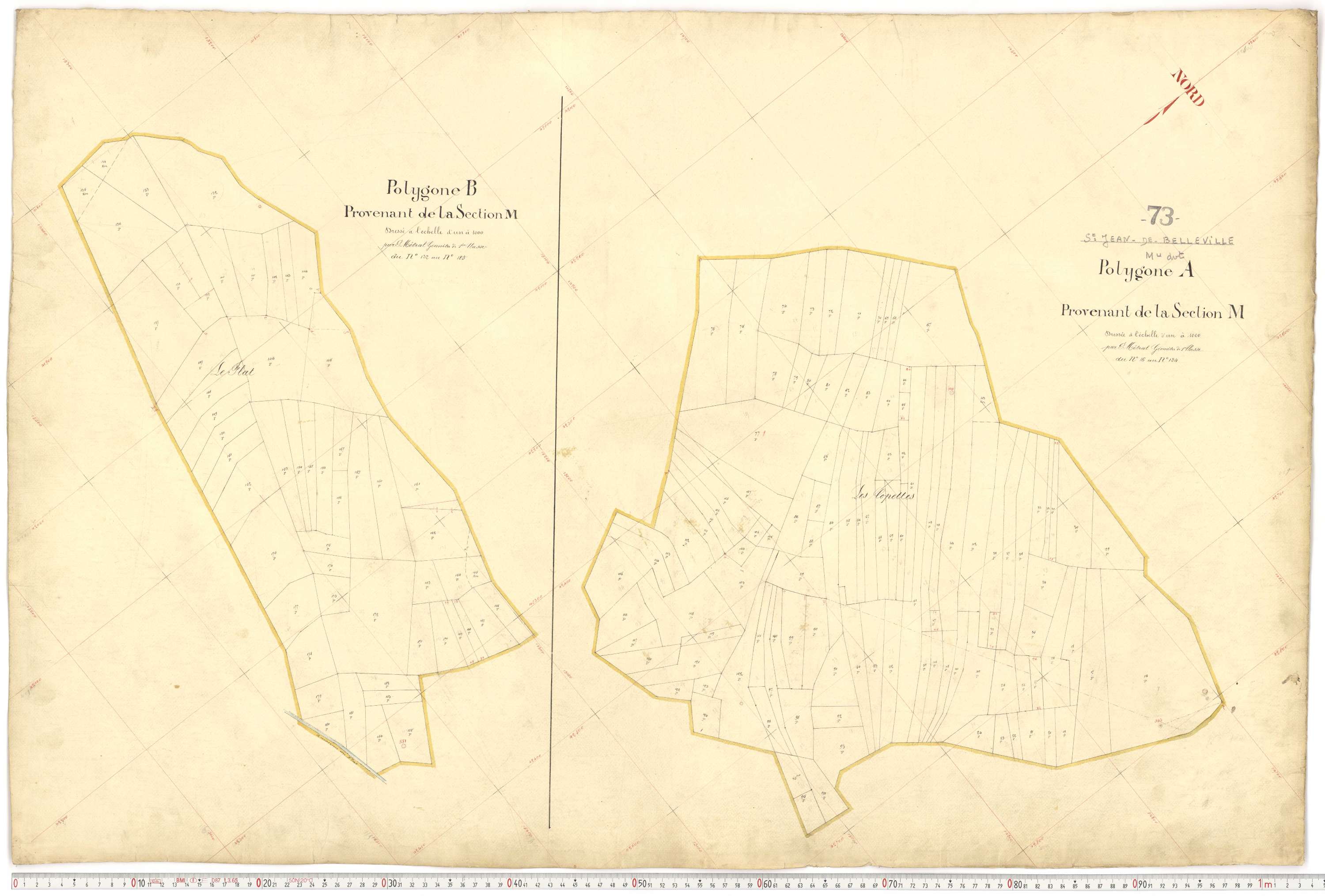 Saint-Jean-de-Belleville - Plans cadastraux du premier cadastre français.