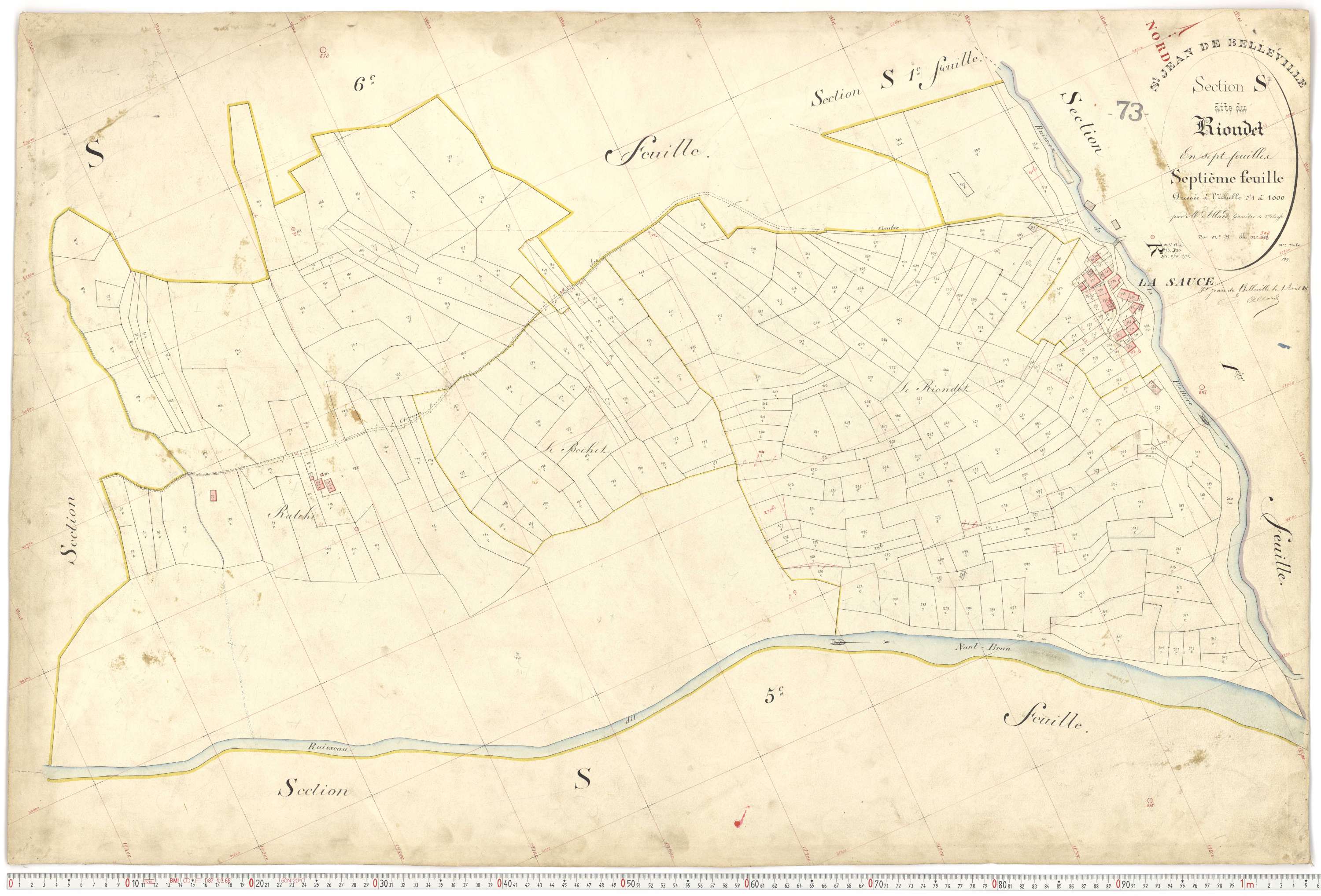 Saint-Jean-de-Belleville - Plans cadastraux du premier cadastre français.