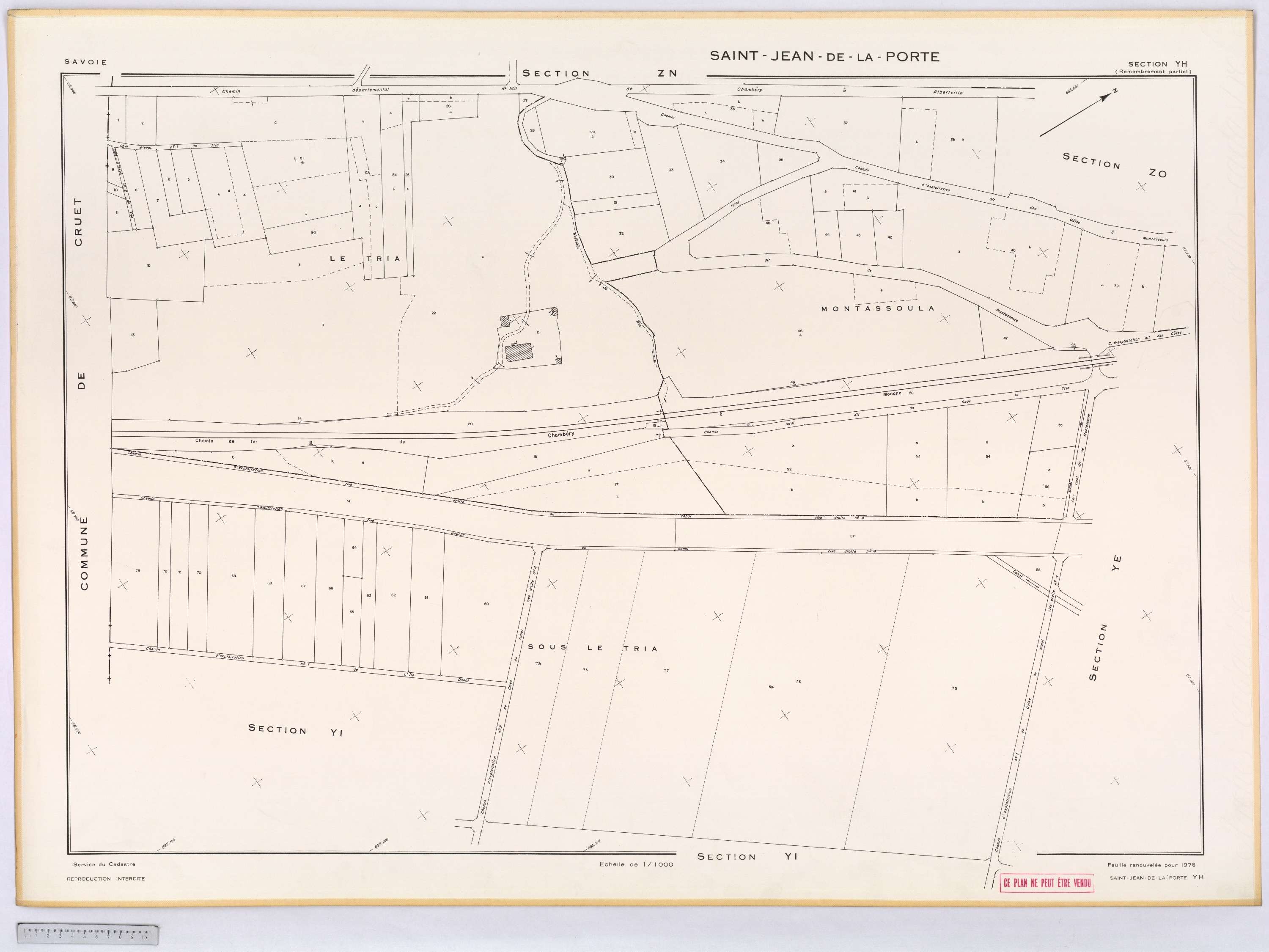 Saint-Jean-de-la-Porte - Cadastre remembré (1976).