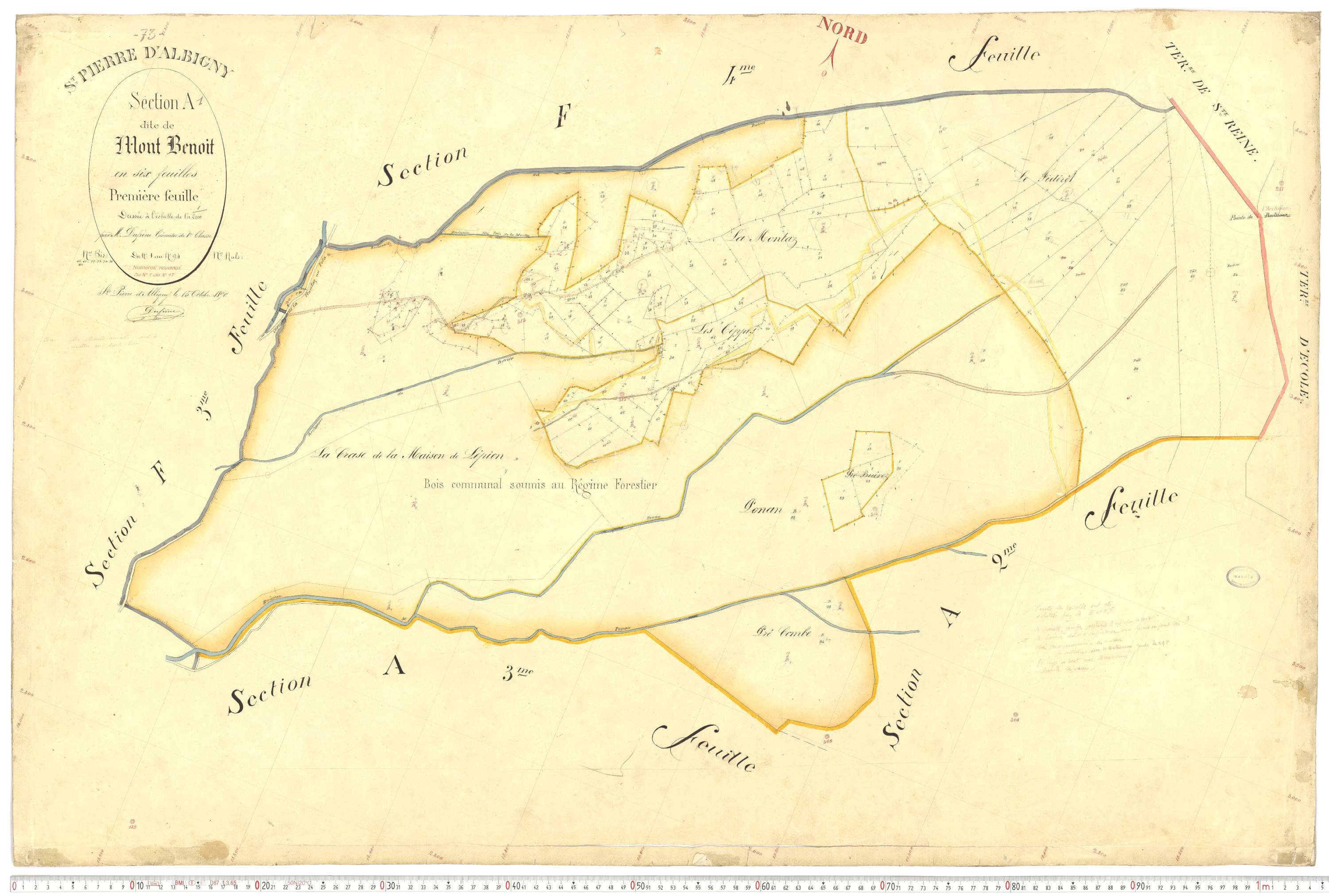 Saint-Pierre-d'Albigny - Cadastre français (1890).