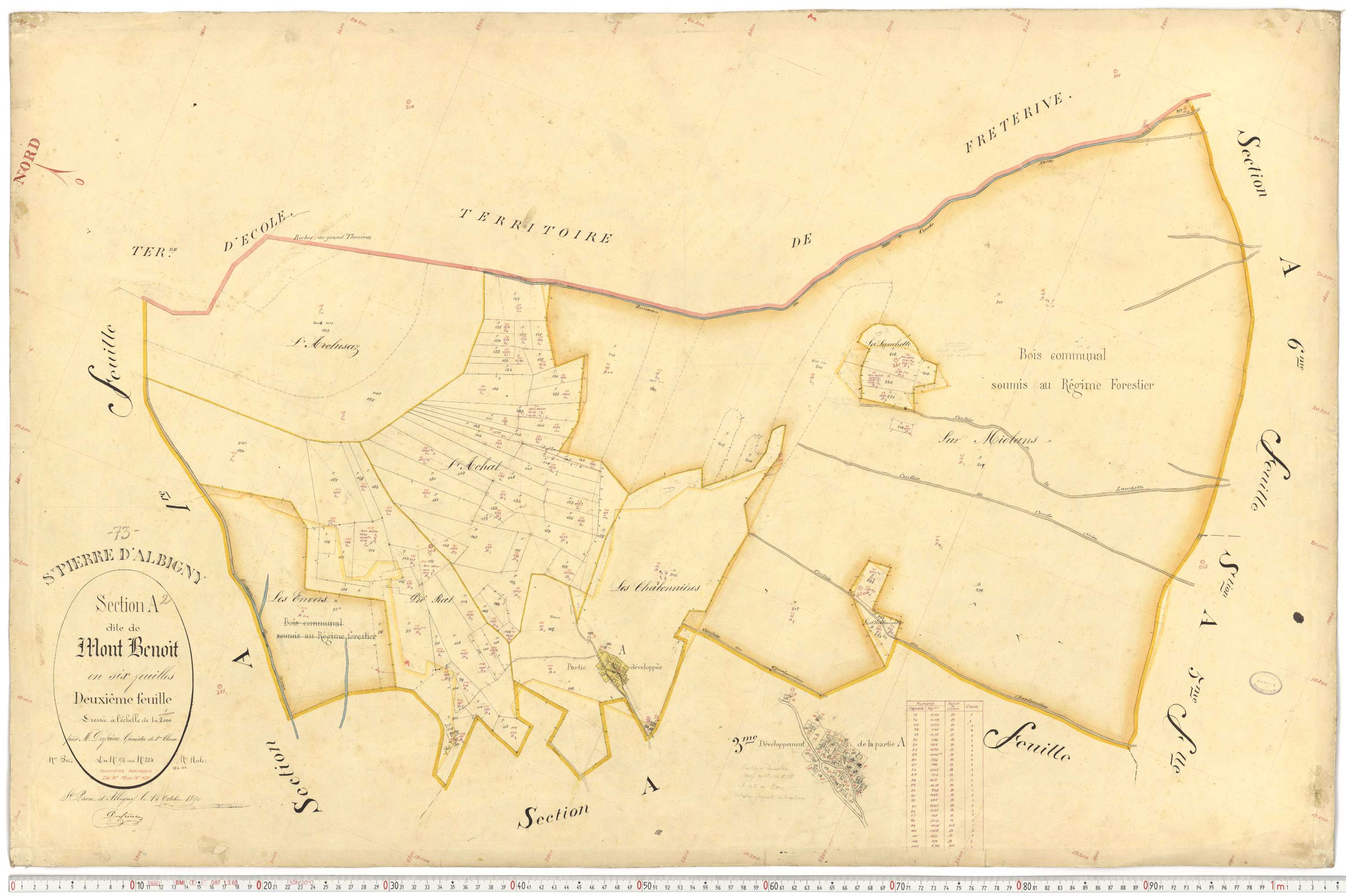 Saint-Pierre-d'Albigny - Cadastre français (1890).