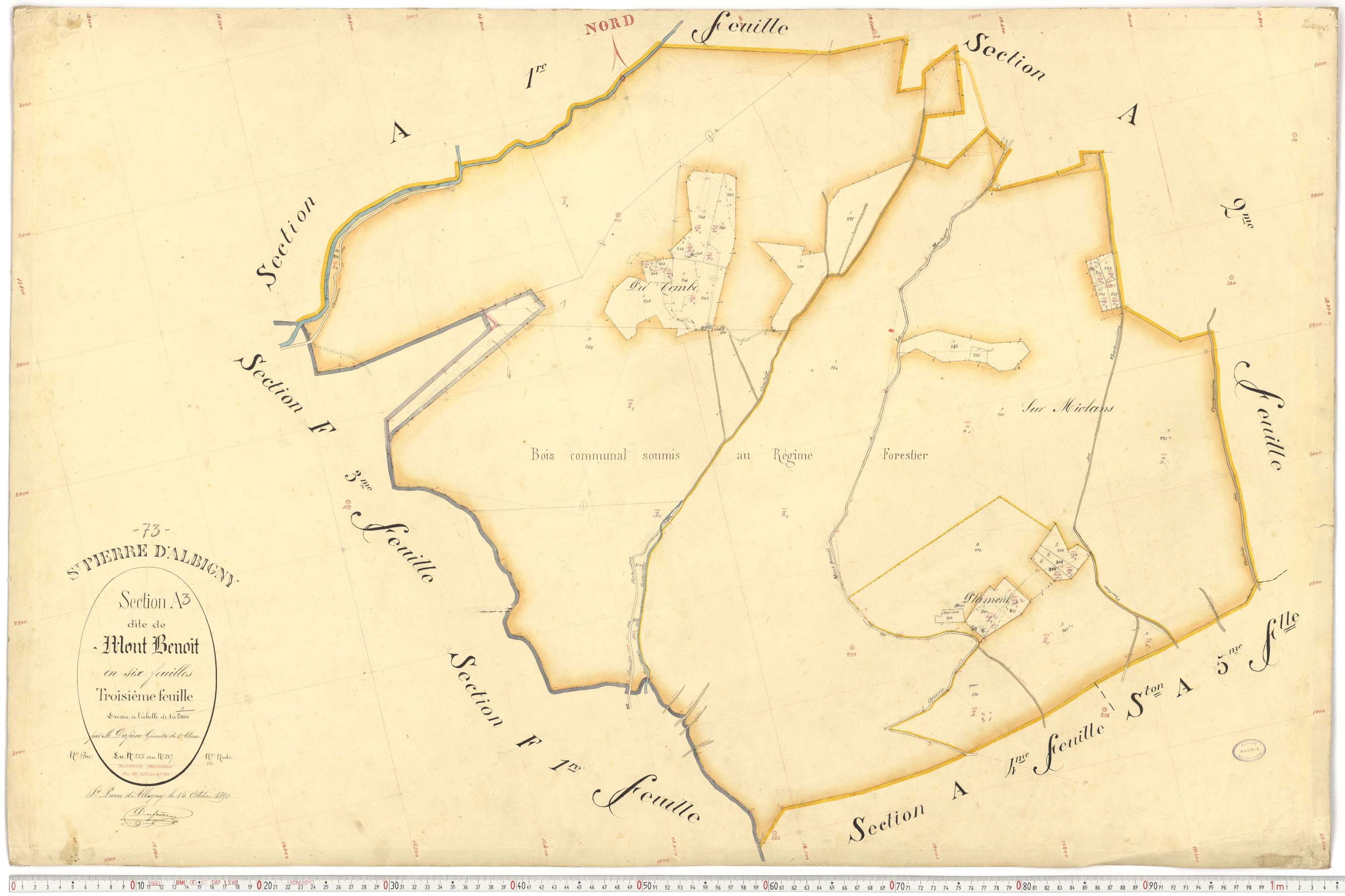 Saint-Pierre-d'Albigny - Cadastre français (1890).