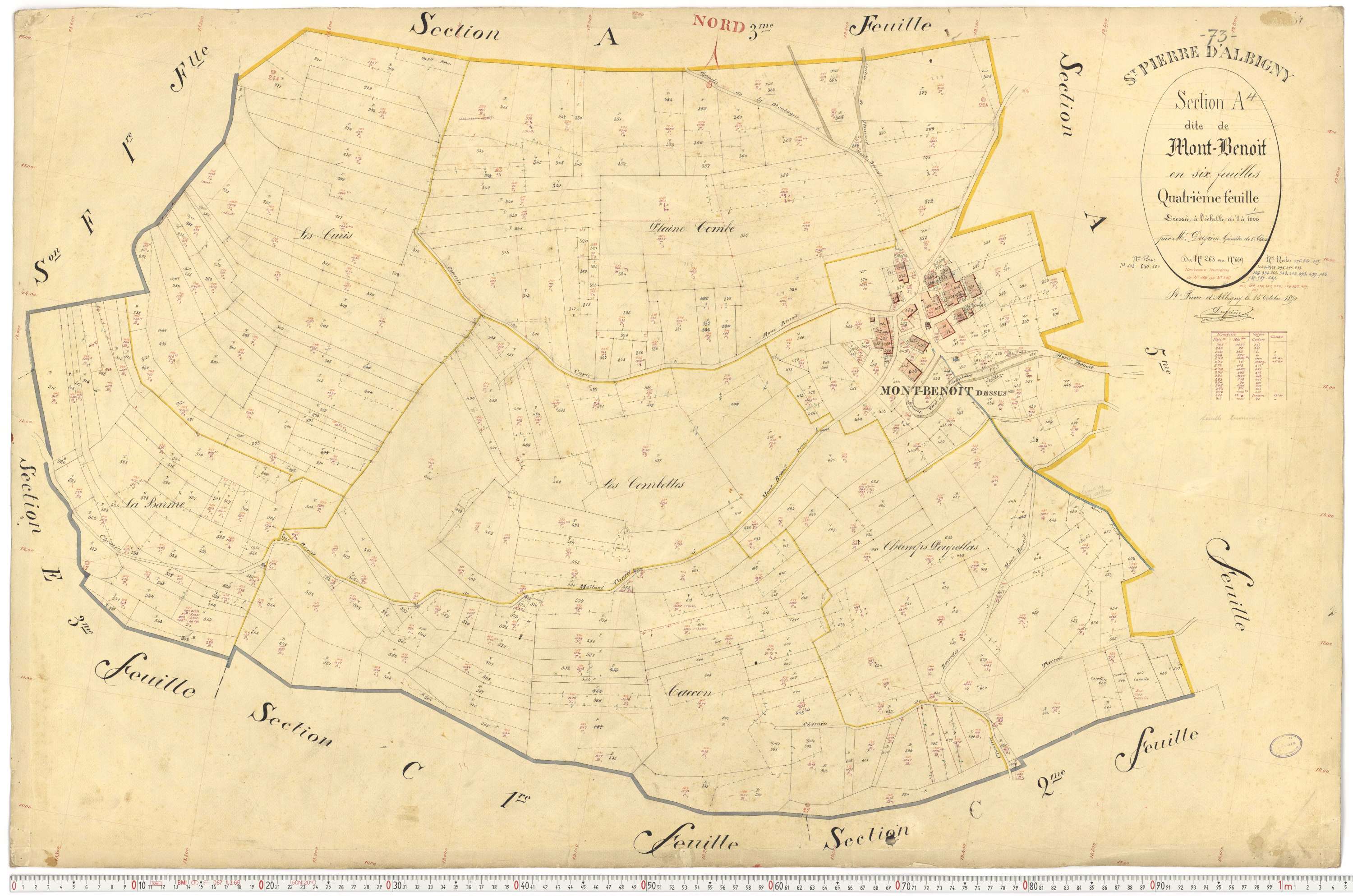 Saint-Pierre-d'Albigny - Cadastre français (1890).