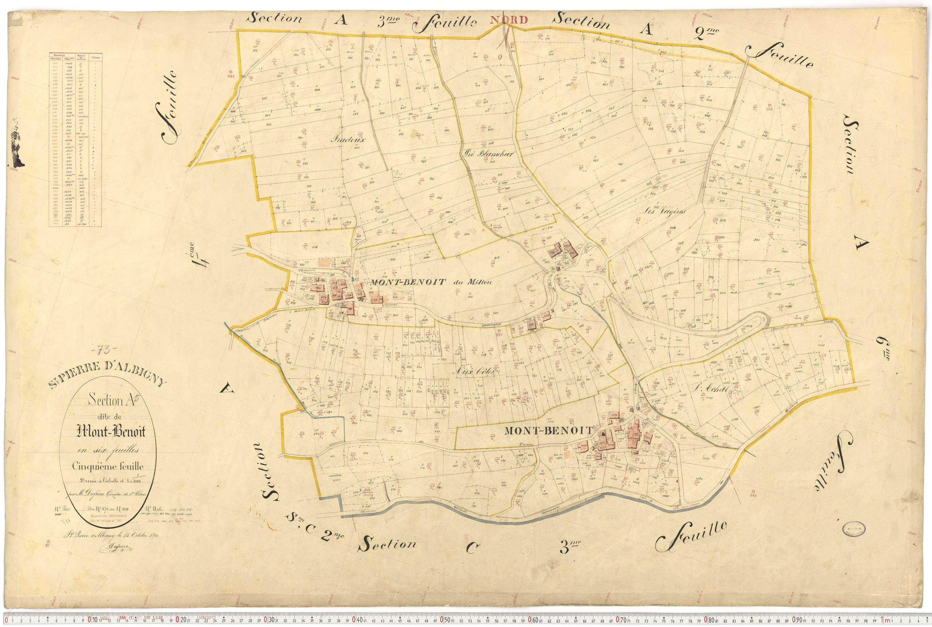 Saint-Pierre-d'Albigny - Cadastre français (1890).