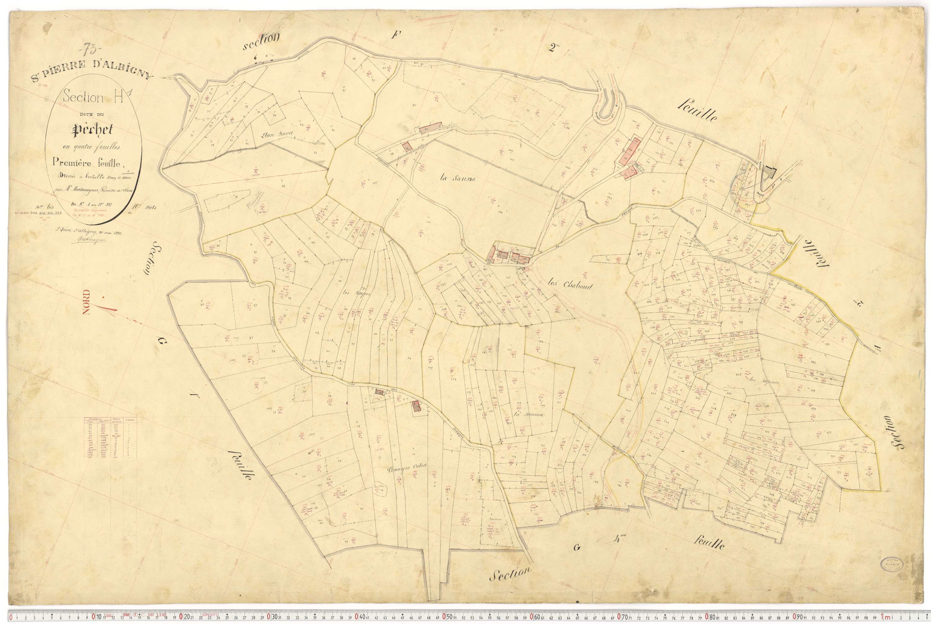 Saint-Pierre-d'Albigny - Cadastre français (1890).