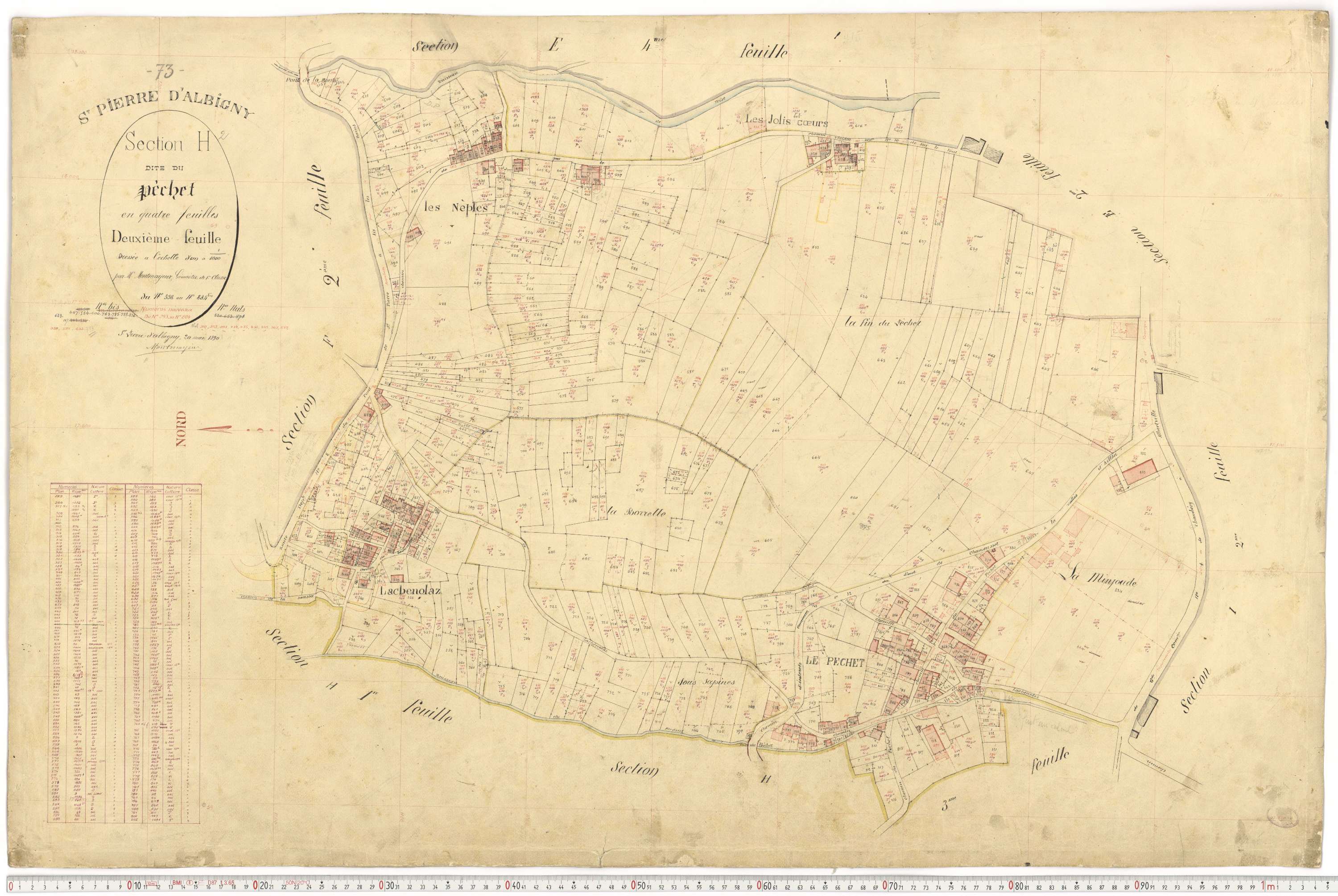 Saint-Pierre-d'Albigny - Cadastre français (1890).