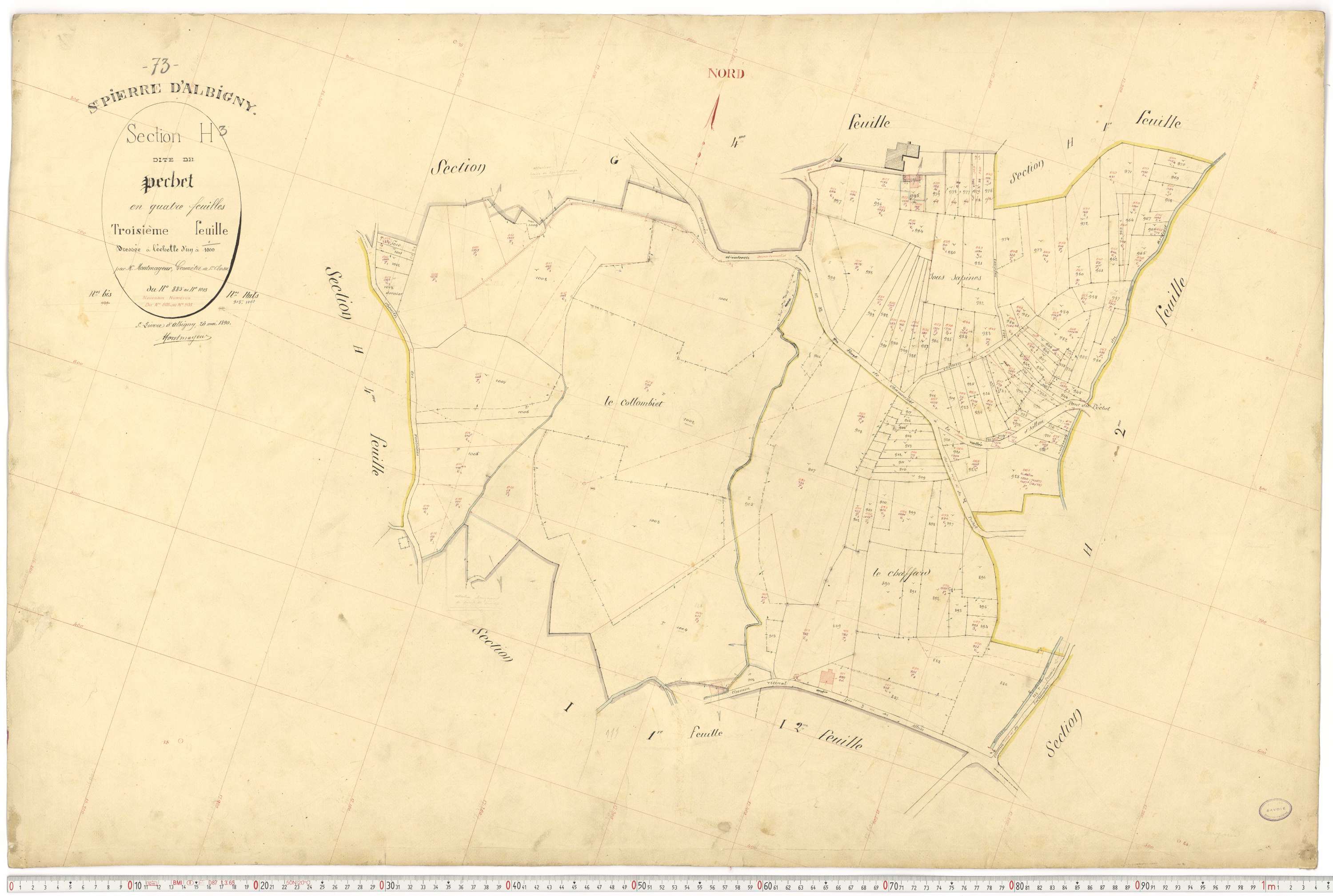 Saint-Pierre-d'Albigny - Cadastre français (1890).