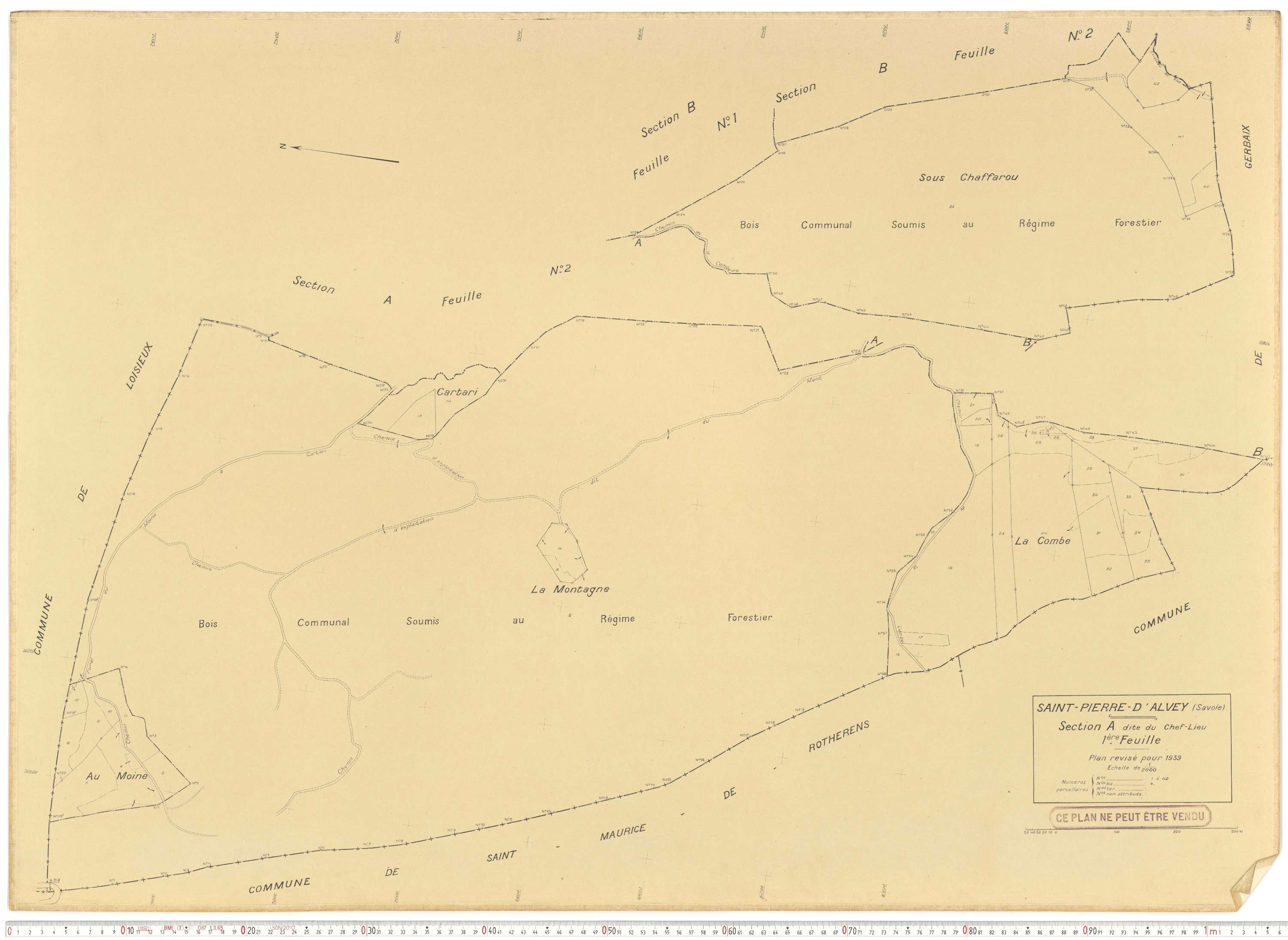 Saint-Pierre-d'Albigny - Plans cadastraux du cadastre rénové.
