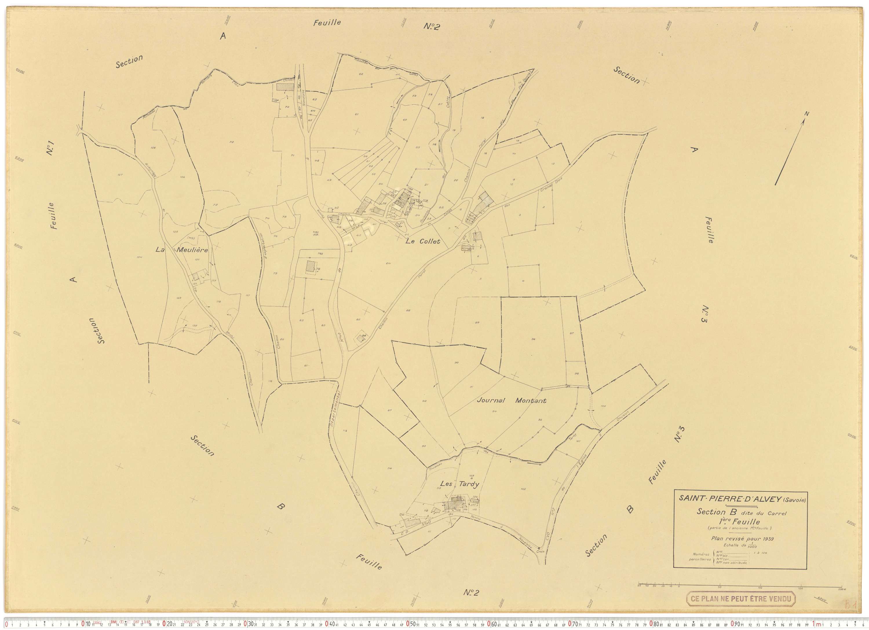 Saint-Pierre-d'Albigny - Plans cadastraux du cadastre rénové.