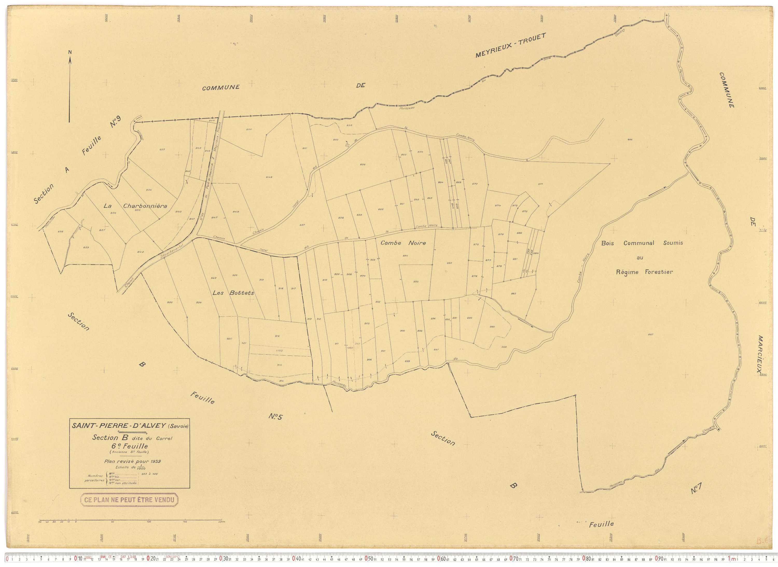 Saint-Pierre-d'Albigny - Plans cadastraux du cadastre rénové.