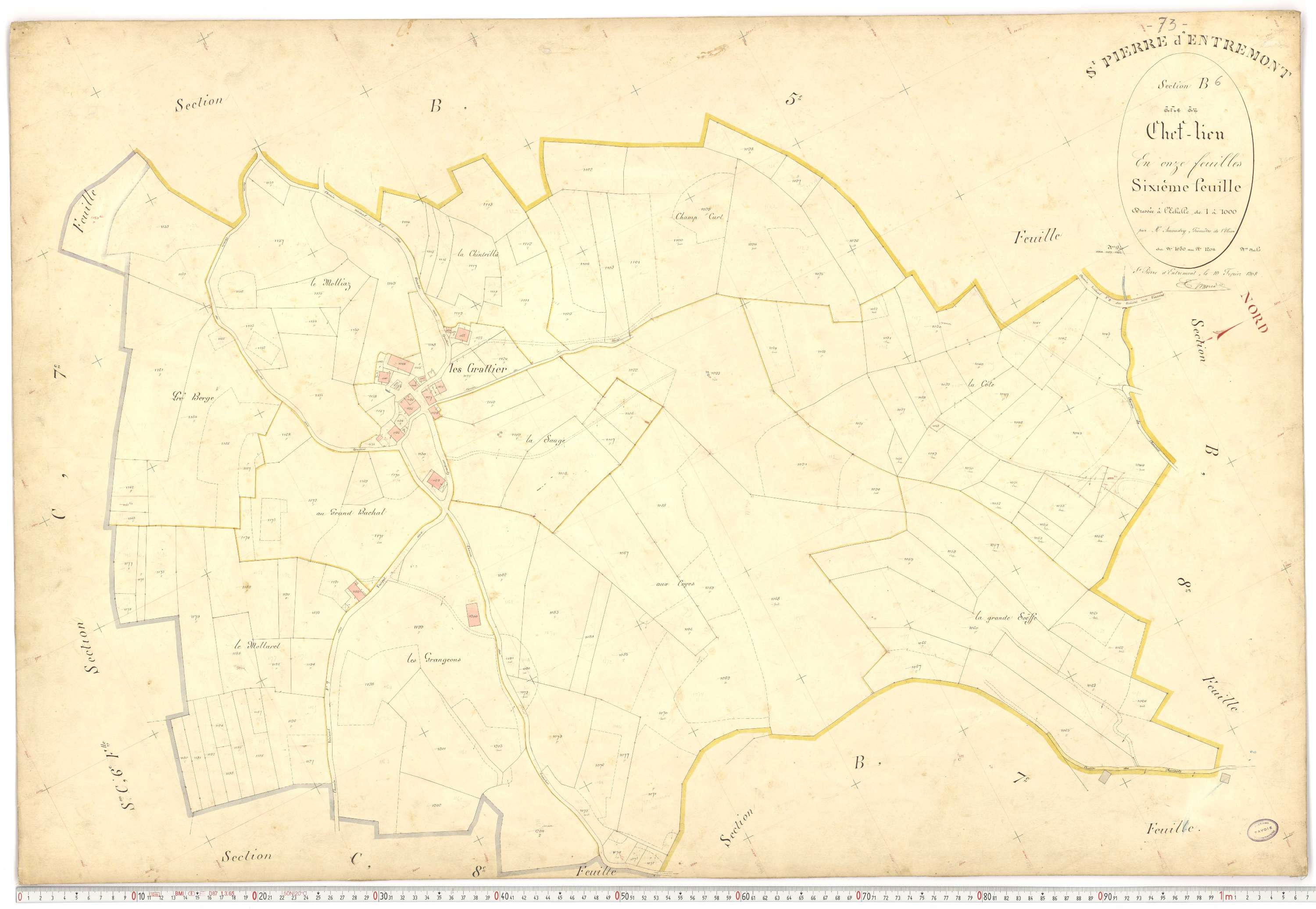 Saint-Pierre-d'Albigny - Plans cadastraux du premier cadastre français.