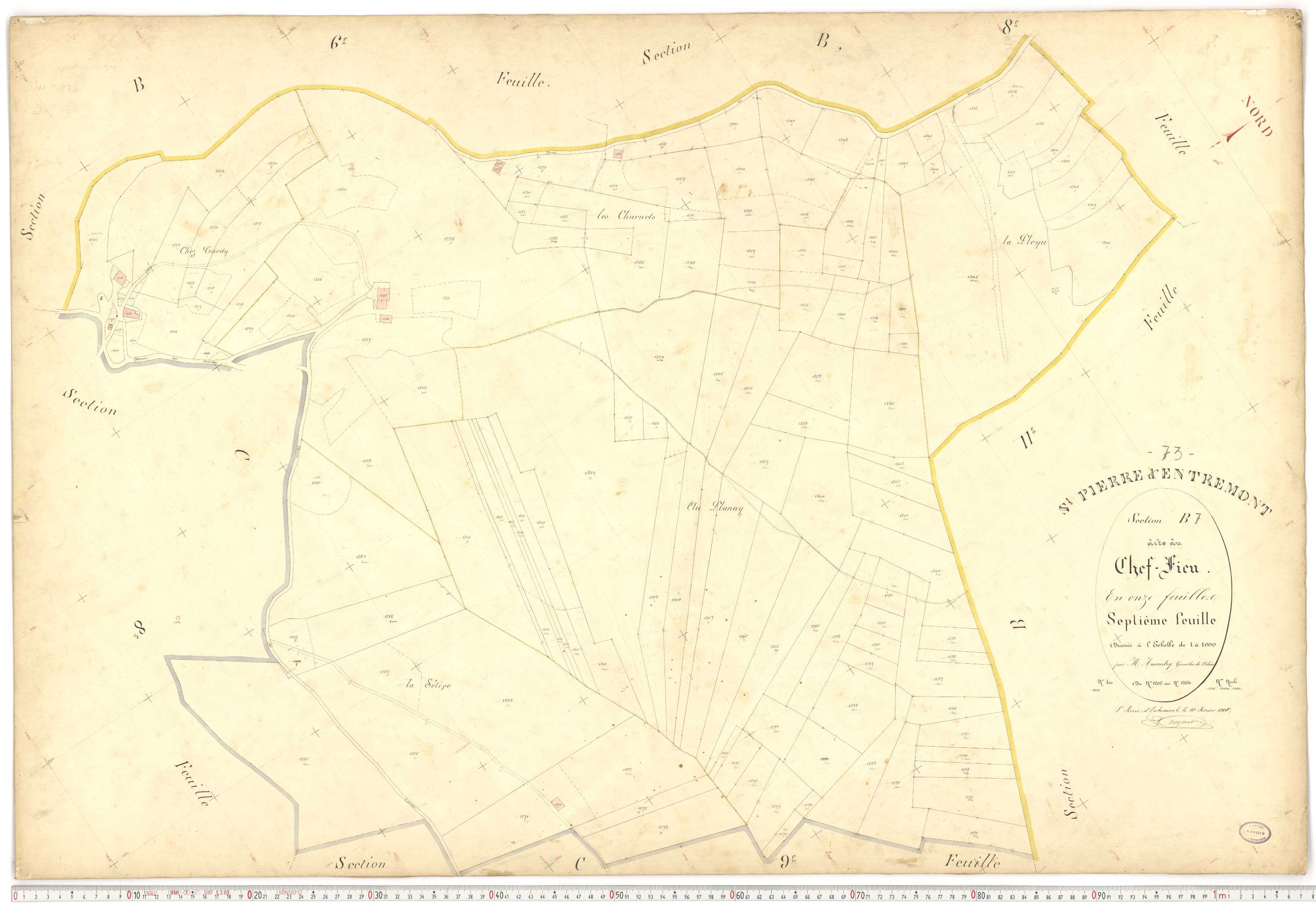 Saint-Pierre-d'Albigny - Plans cadastraux du premier cadastre français.