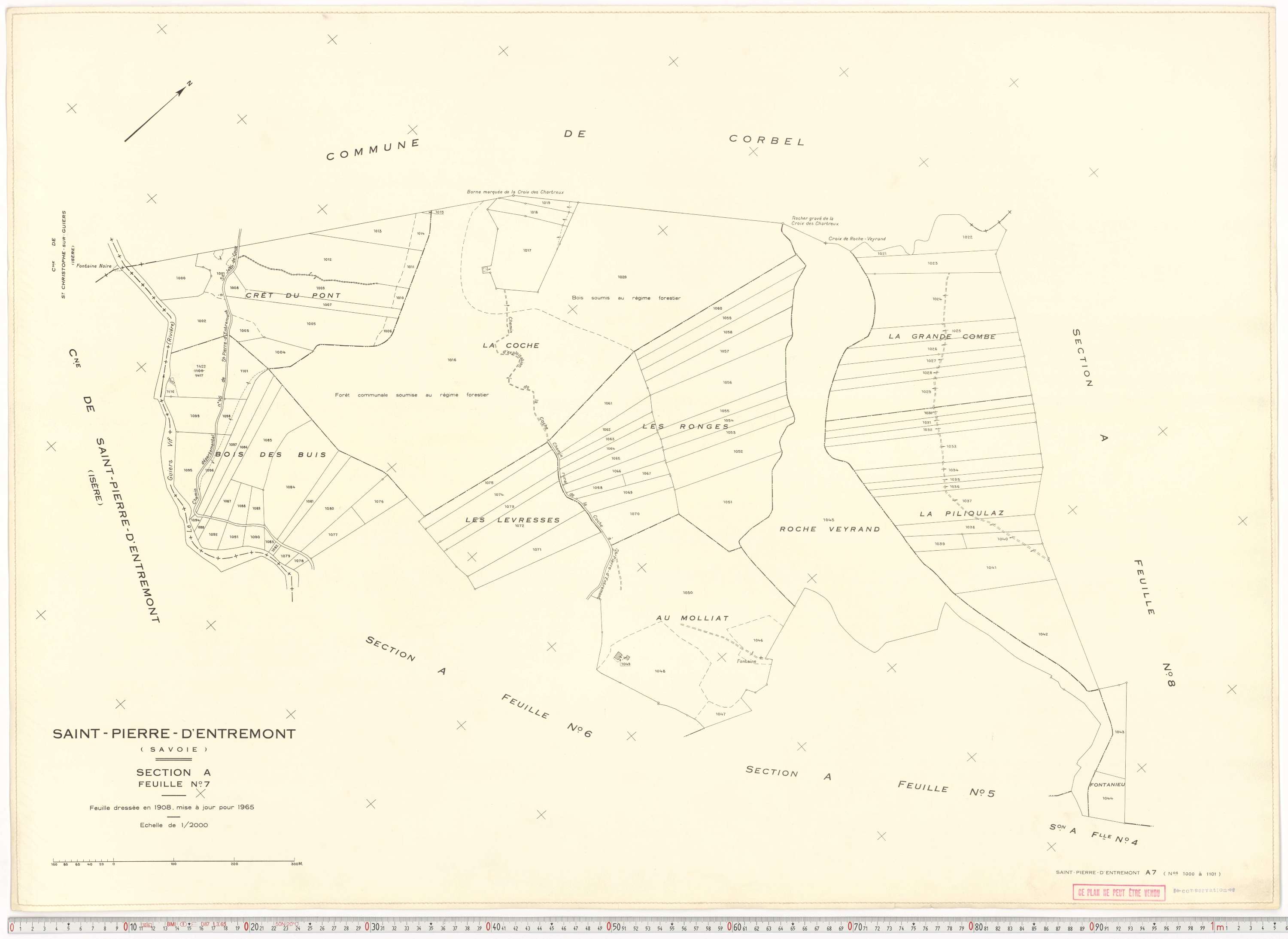 Saint-Pierre-d'Albigny - Plans cadastraux du cadastre rénové.