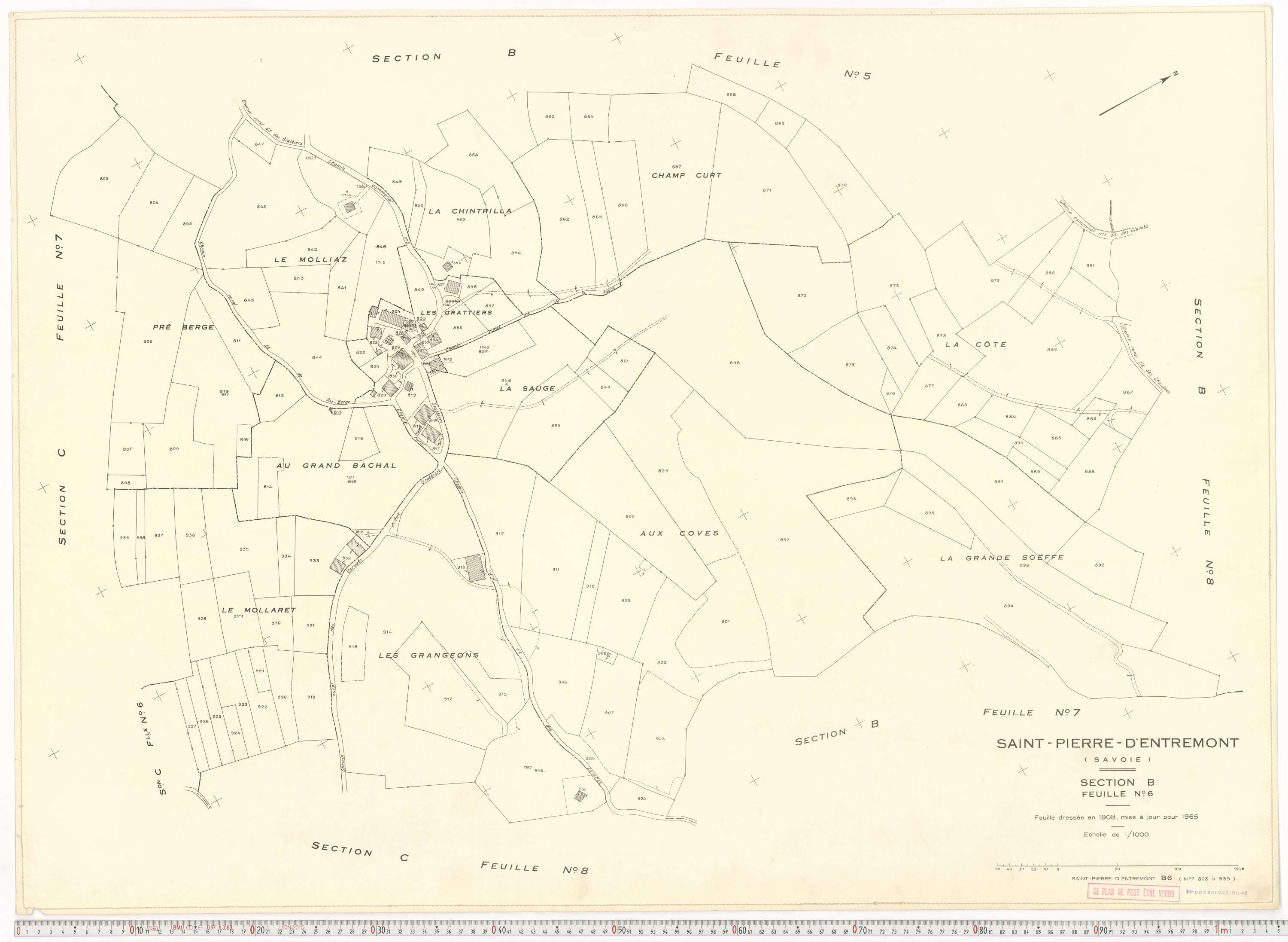 Saint-Pierre-d'Albigny - Plans cadastraux du cadastre rénové.