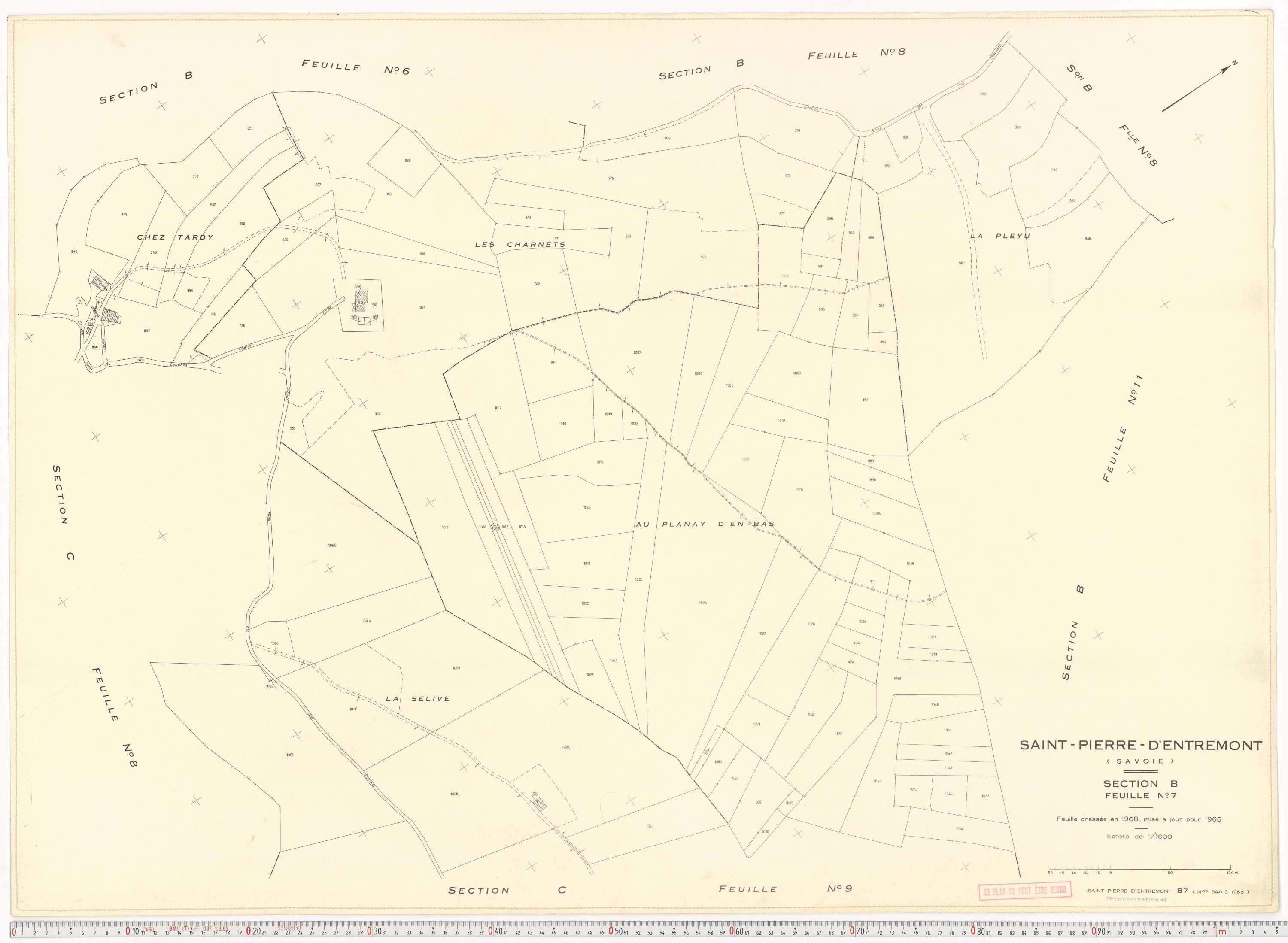 Saint-Pierre-d'Albigny - Plans cadastraux du cadastre rénové.