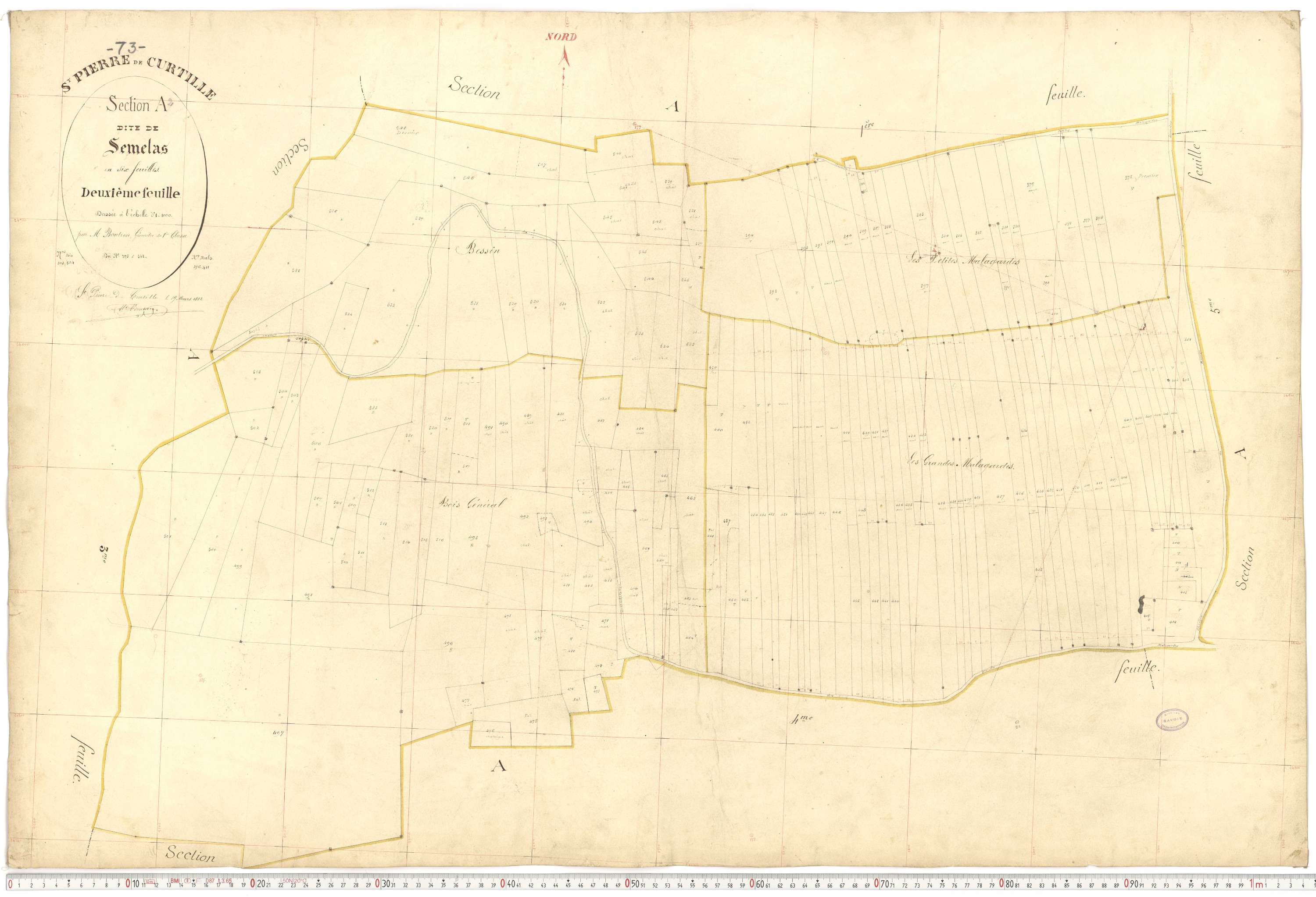 Saint-Pierre-de-Curtille - Plans cadastraux du premier cadastre français.