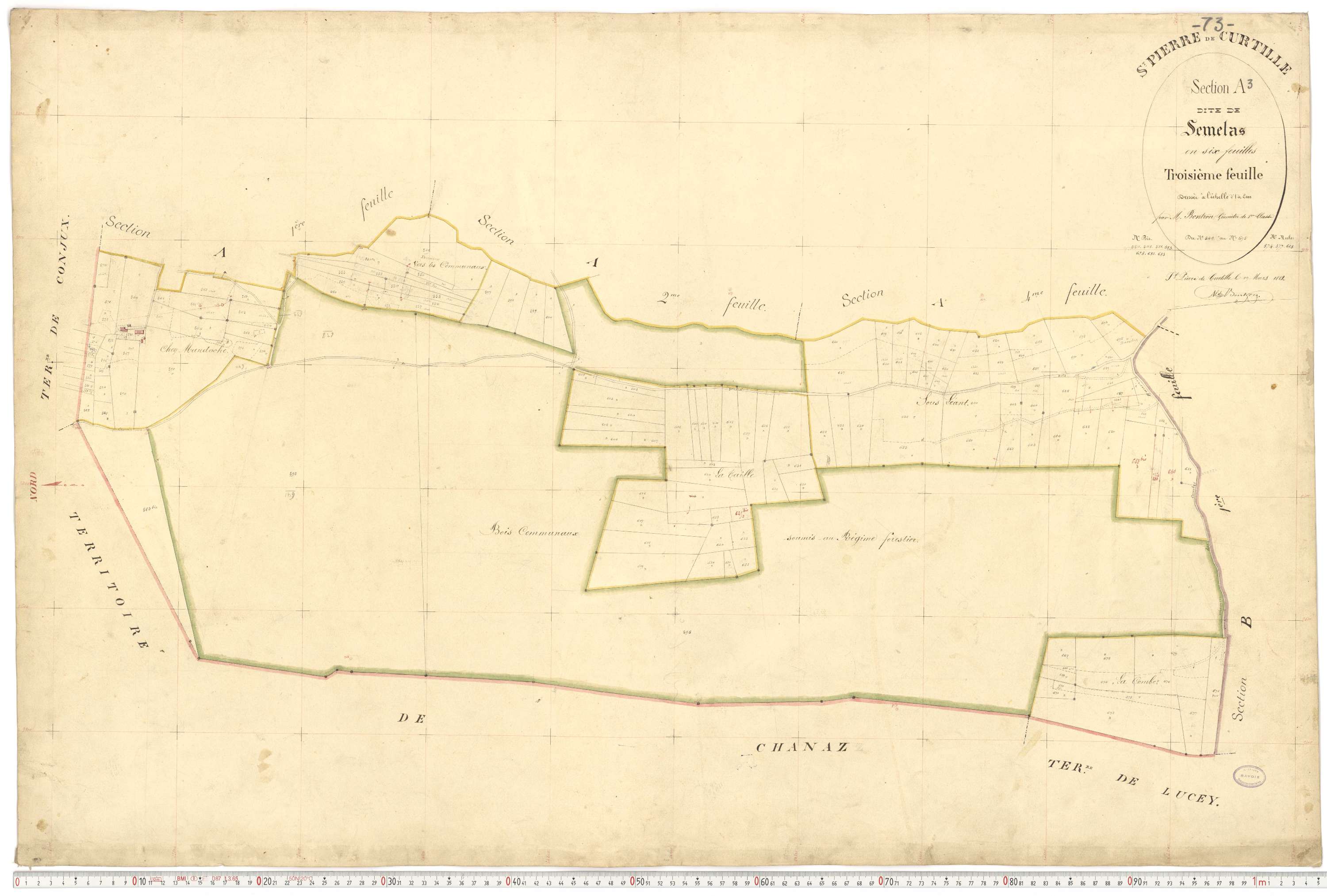 Saint-Pierre-de-Curtille - Plans cadastraux du premier cadastre français.