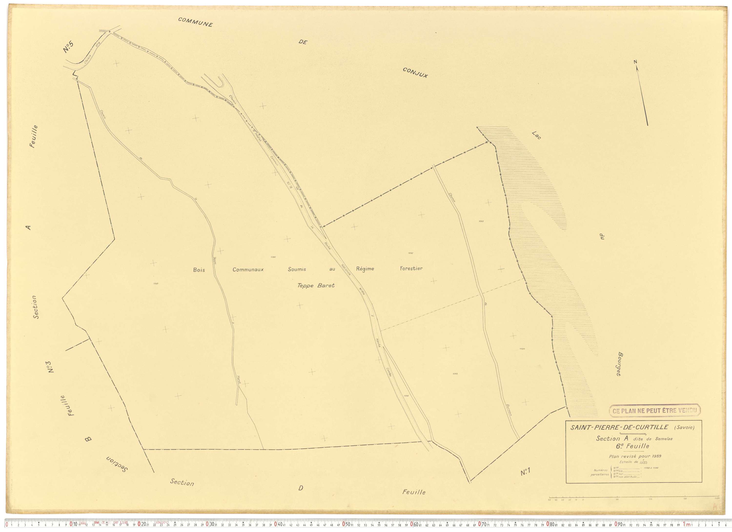 Saint-Pierre-de-Curtille - Plans cadastraux du cadastre rénové.