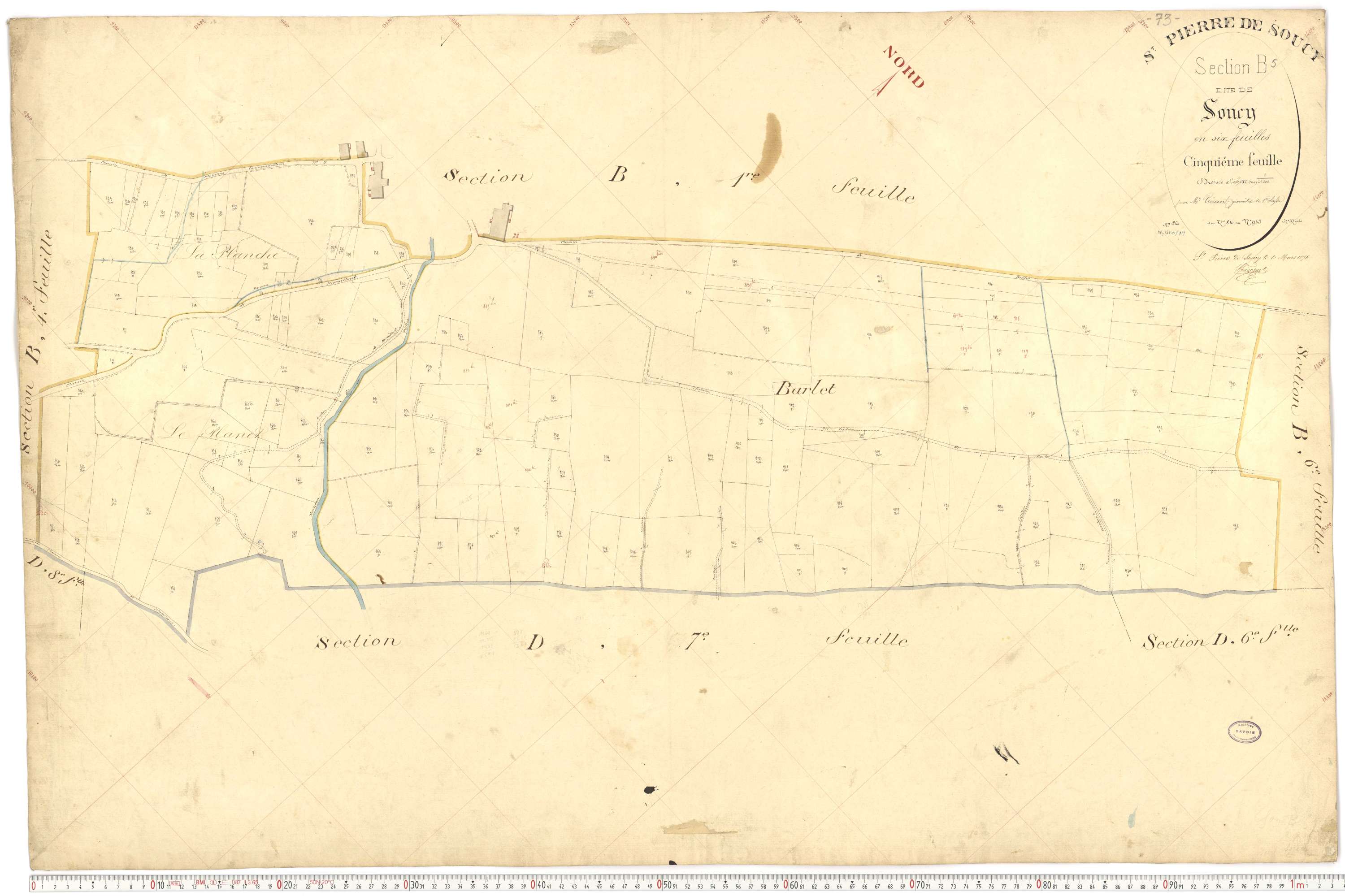 Saint-Pierre-de-Soucy - Cadastre français (1876).