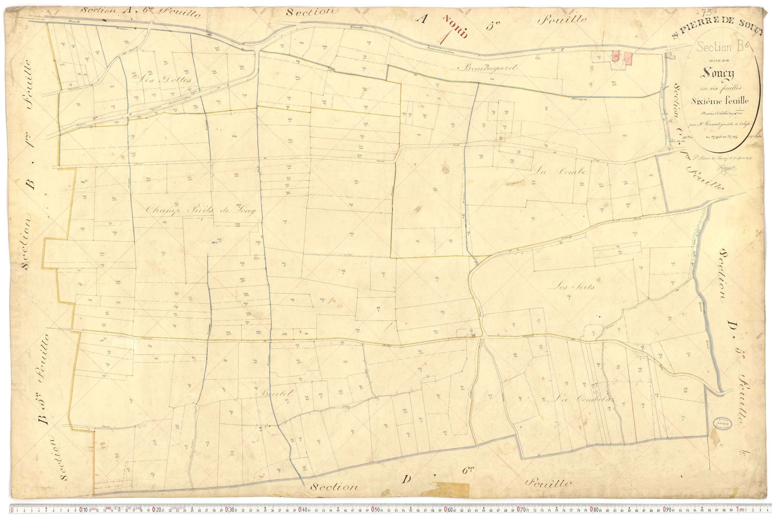 Saint-Pierre-de-Soucy - Cadastre français (1876).