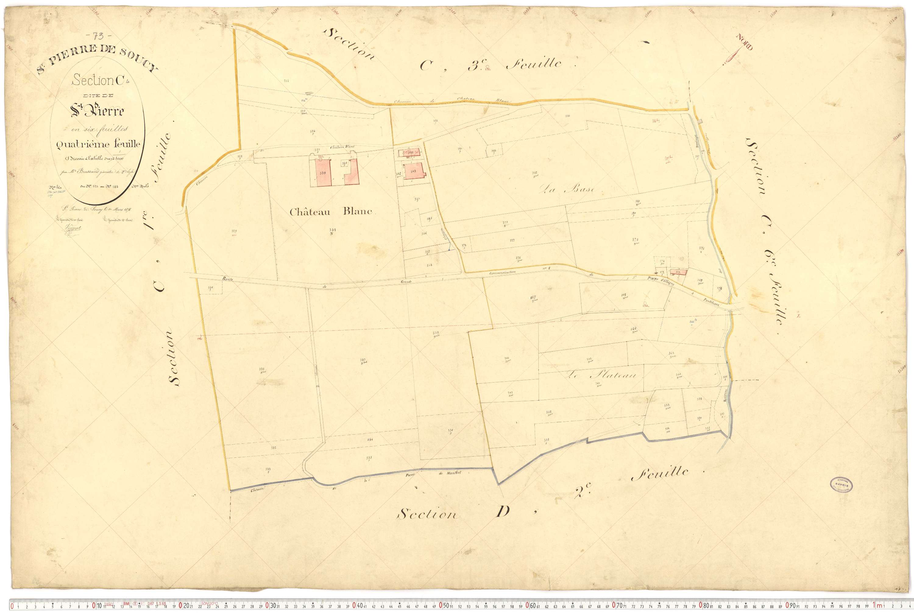 Saint-Pierre-de-Soucy - Cadastre français (1876).