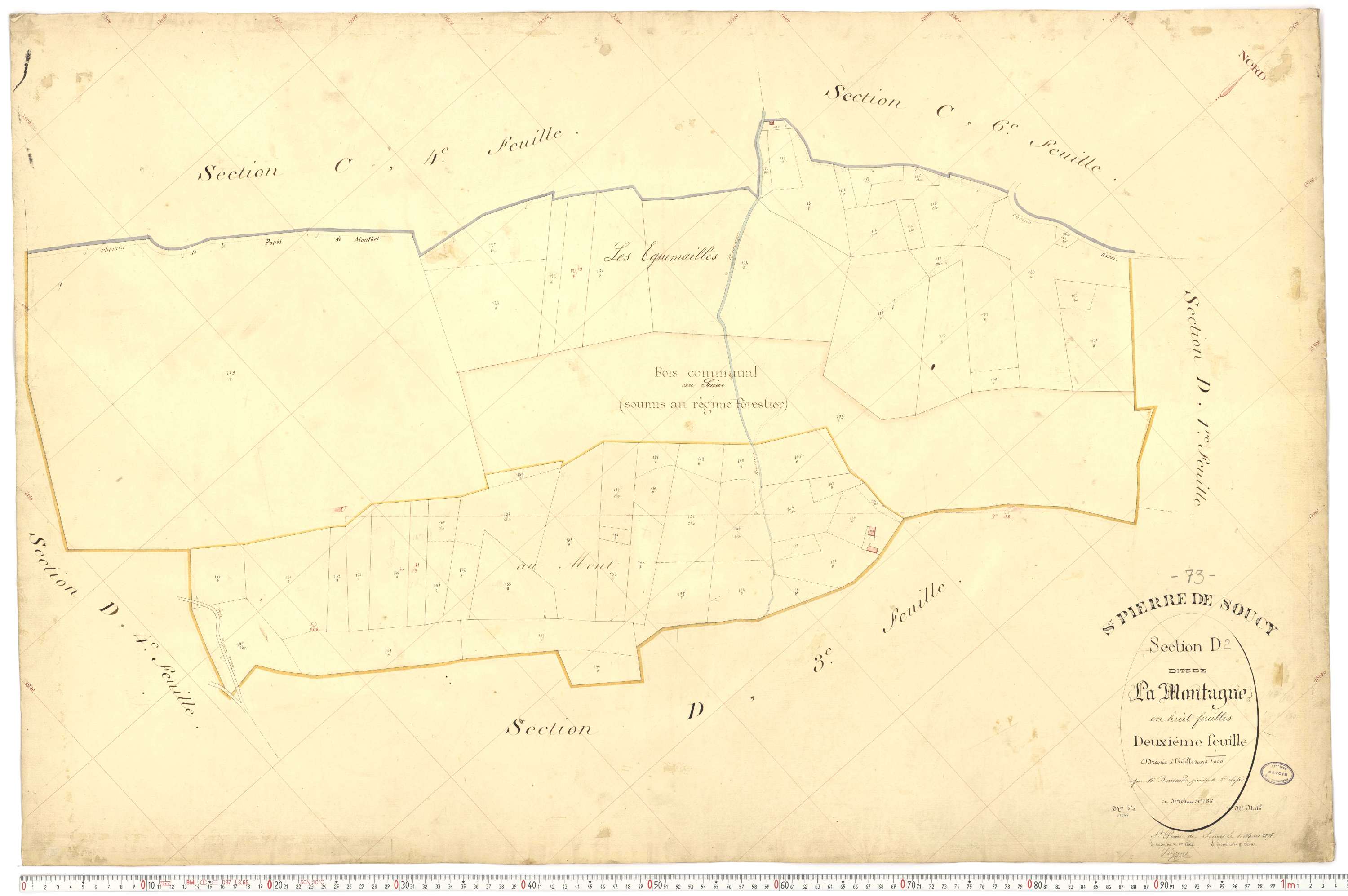 Saint-Pierre-de-Soucy - Cadastre français (1876).