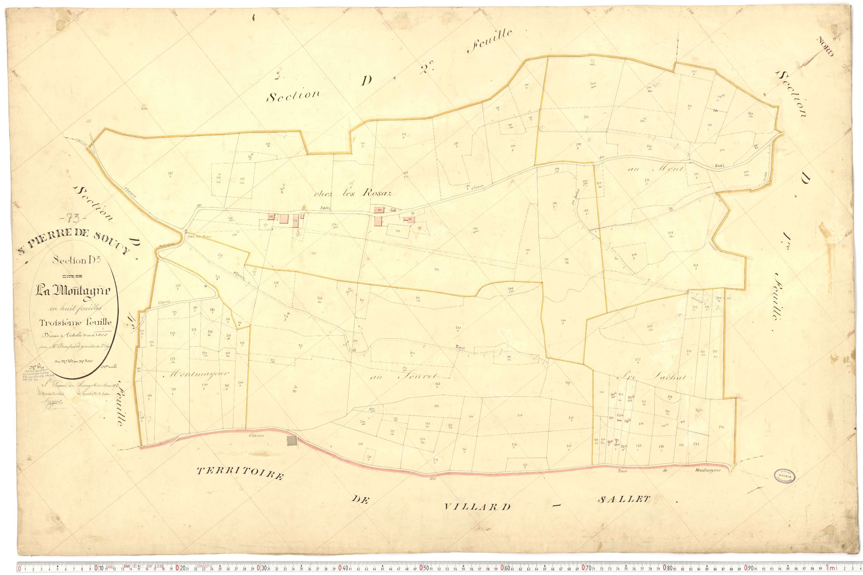 Saint-Pierre-de-Soucy - Cadastre français (1876).