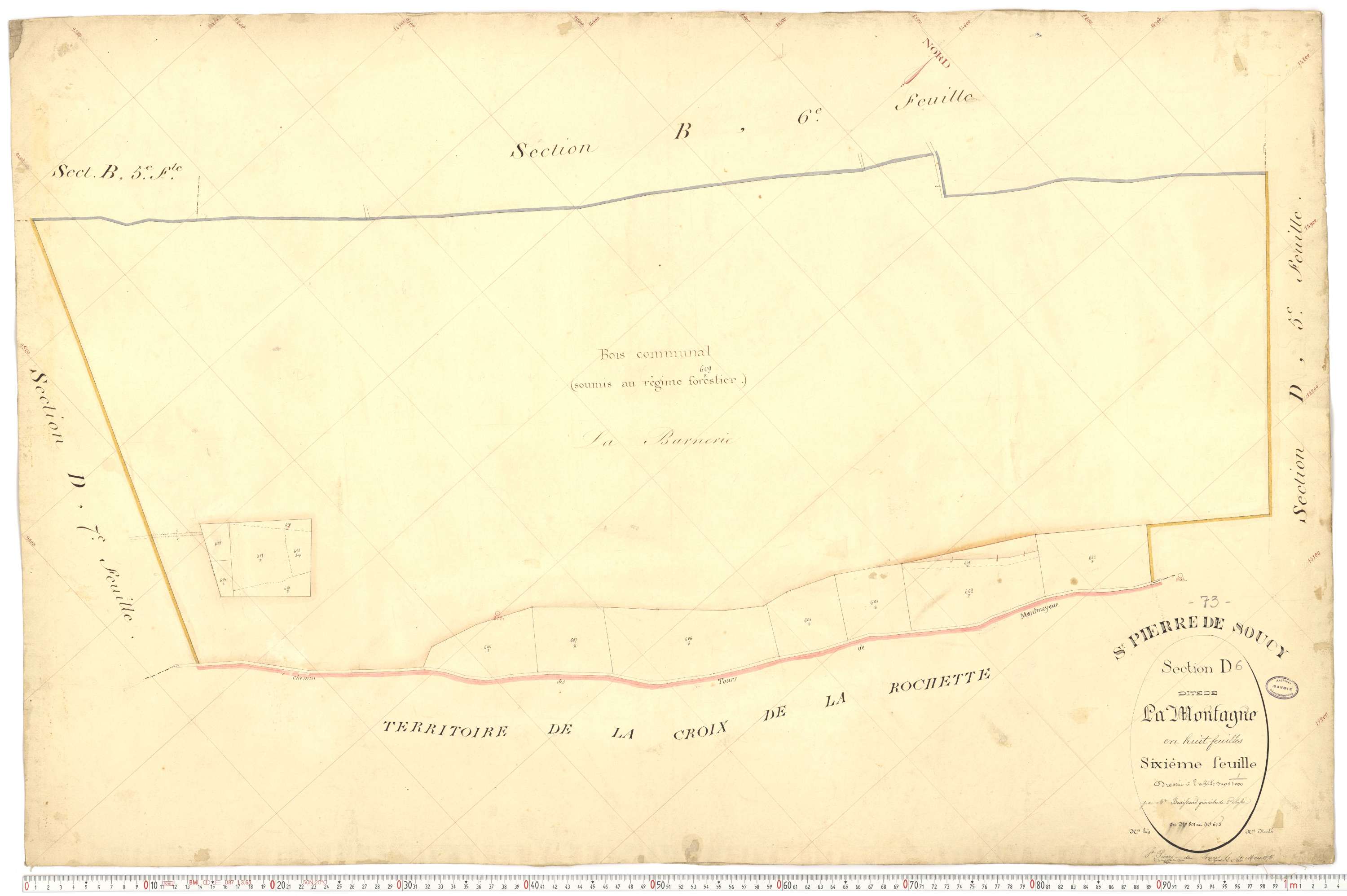 Saint-Pierre-de-Soucy - Cadastre français (1876).