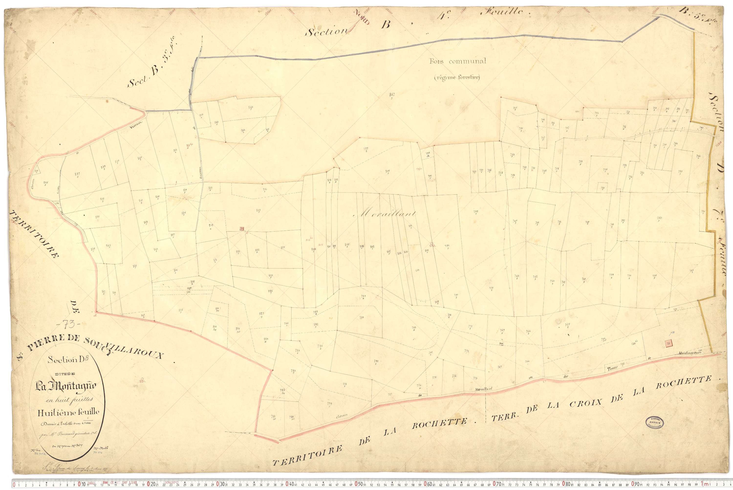 Saint-Pierre-de-Soucy - Cadastre français (1876).
