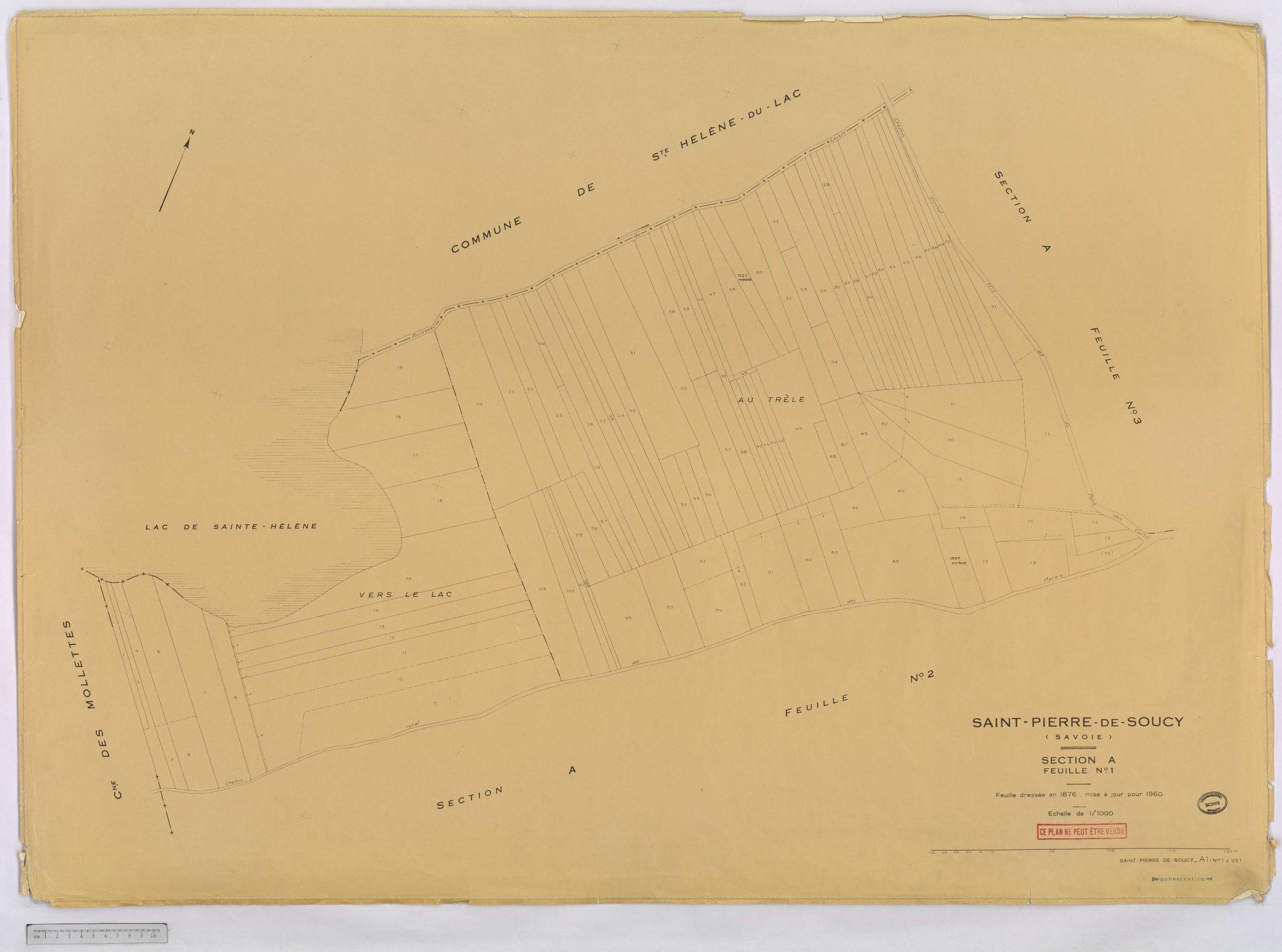 Saint-Pierre-de-Soucy - Cadastre rénové, version définitive (1960).