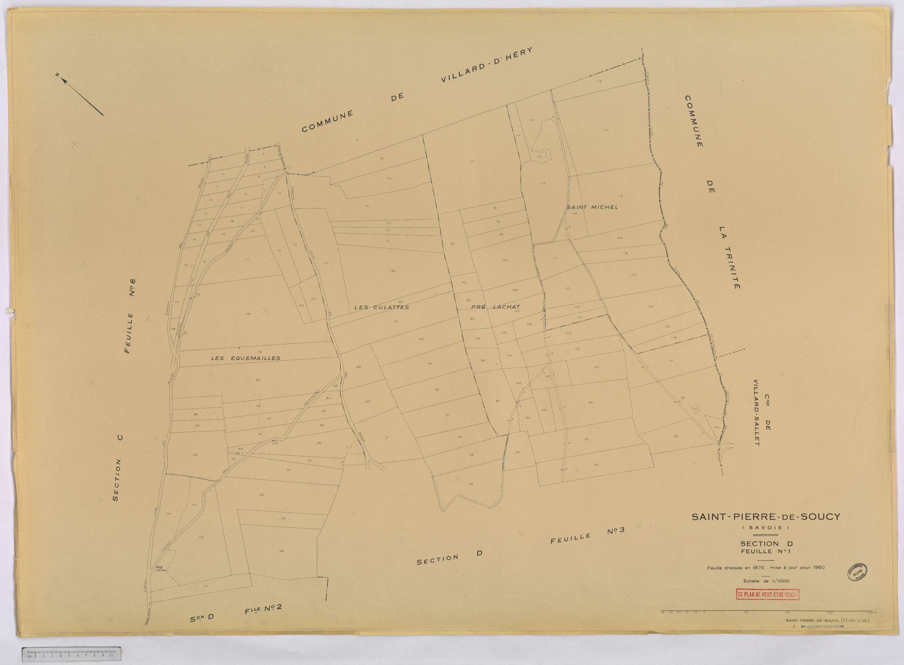 Saint-Pierre-de-Soucy - Cadastre rénové, version définitive (1960).