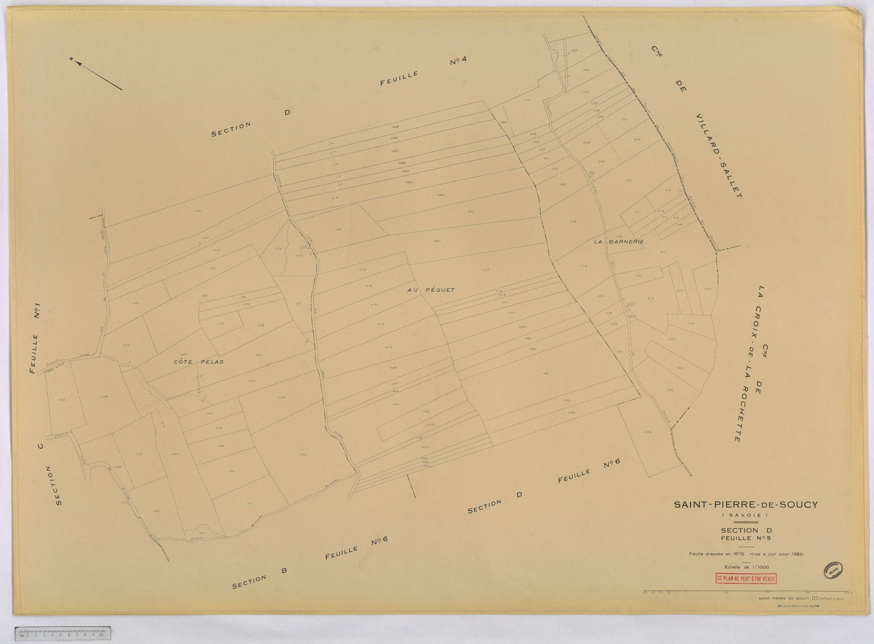 Saint-Pierre-de-Soucy - Cadastre rénové, version définitive (1960).