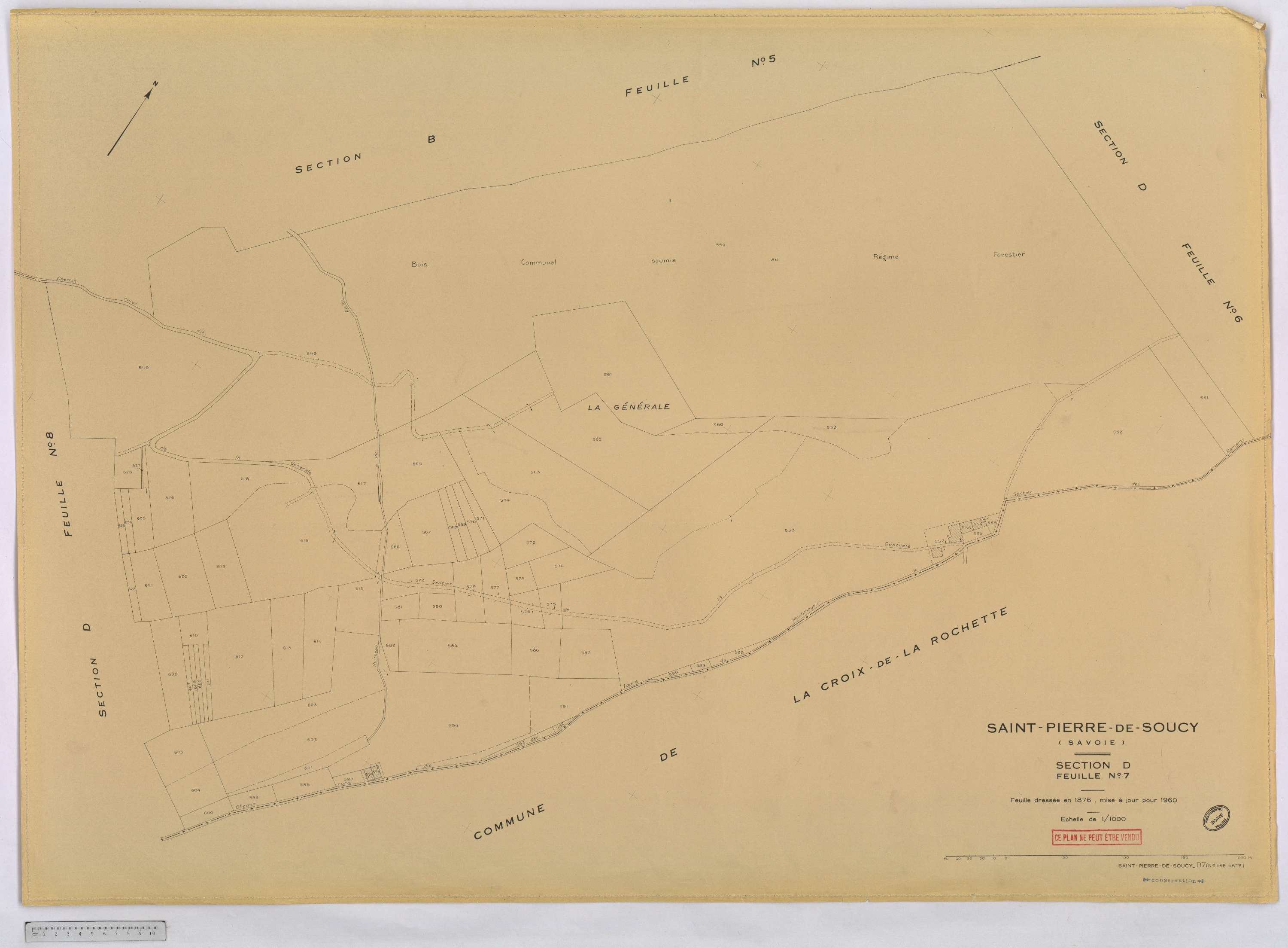 Saint-Pierre-de-Soucy - Cadastre rénové, version définitive (1960).