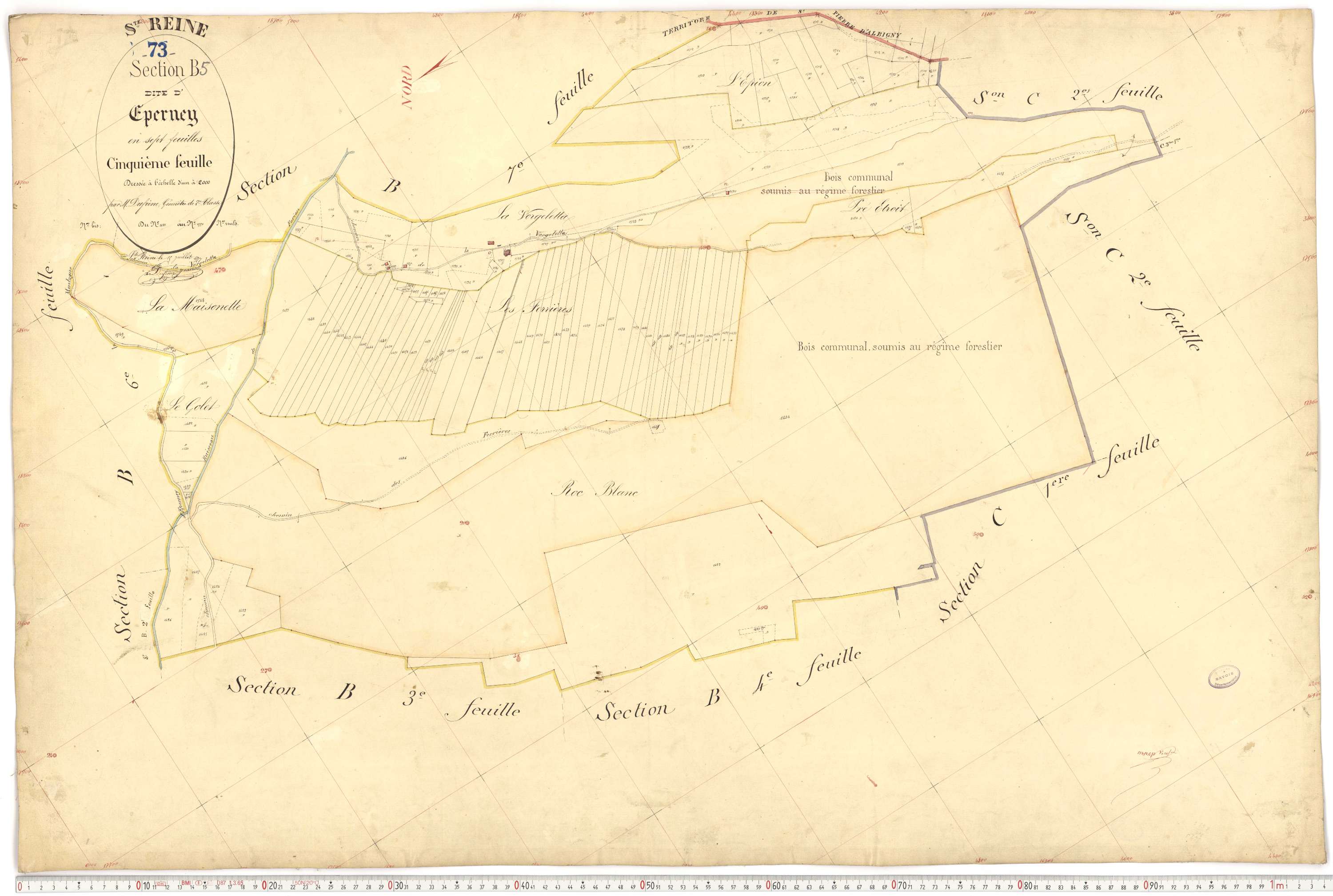 Sainte-Reine - Plans cadastraux du premier cadastre français.