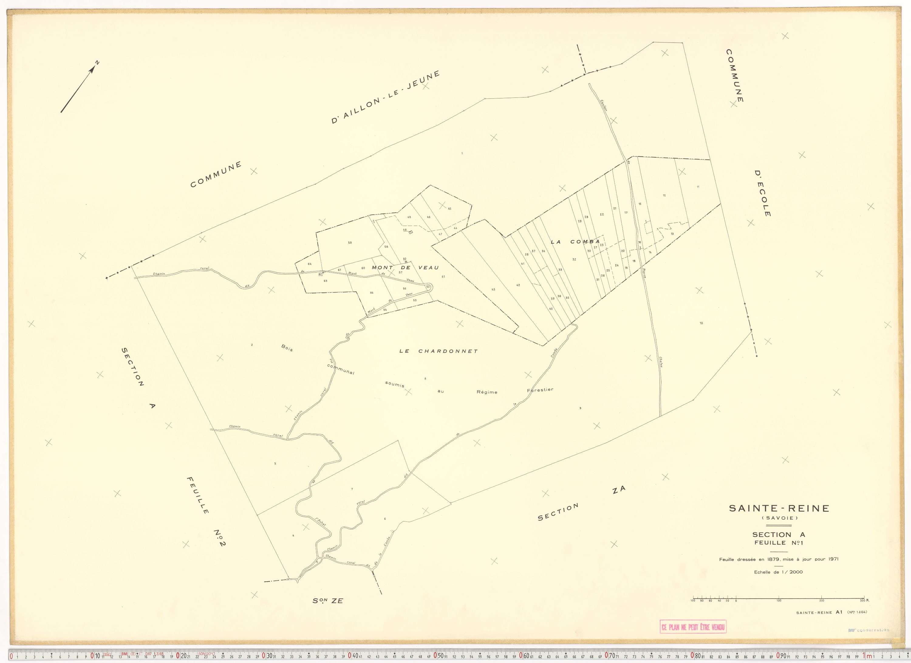 Sainte-Reine - Plans cadastraux du cadastre rénové et remembré (partiel).
