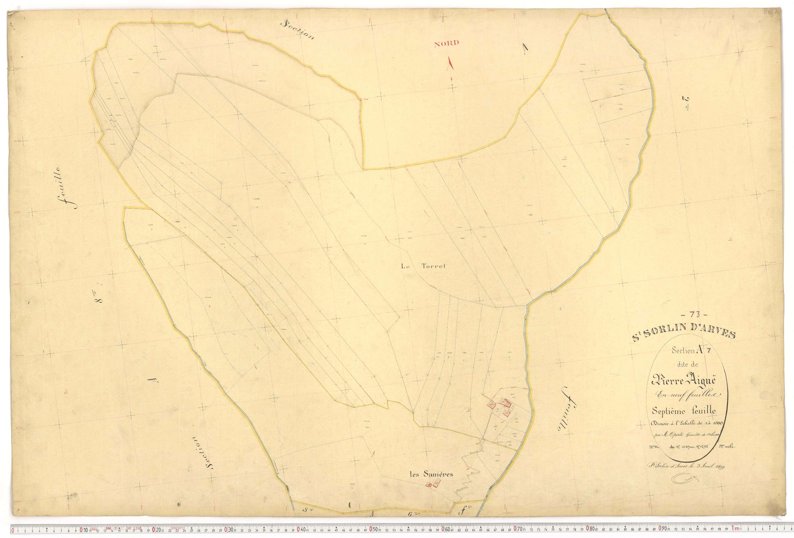 Saint-Sorlin-d'Arves - Plans cadastraux du premier cadastre français.