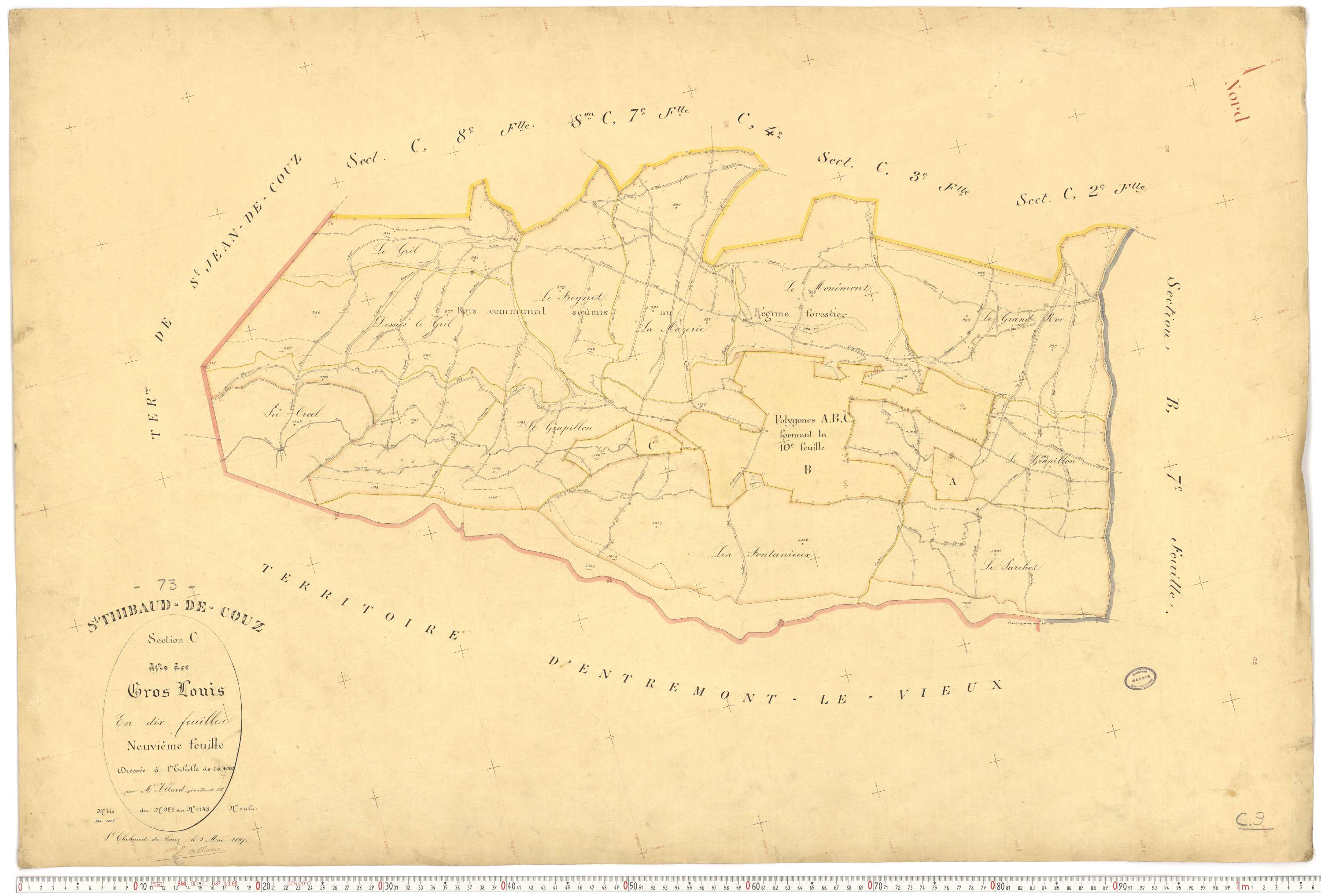 Saint-Thibaud-de-Couz - Plans cadastraux du premier cadastre français.
