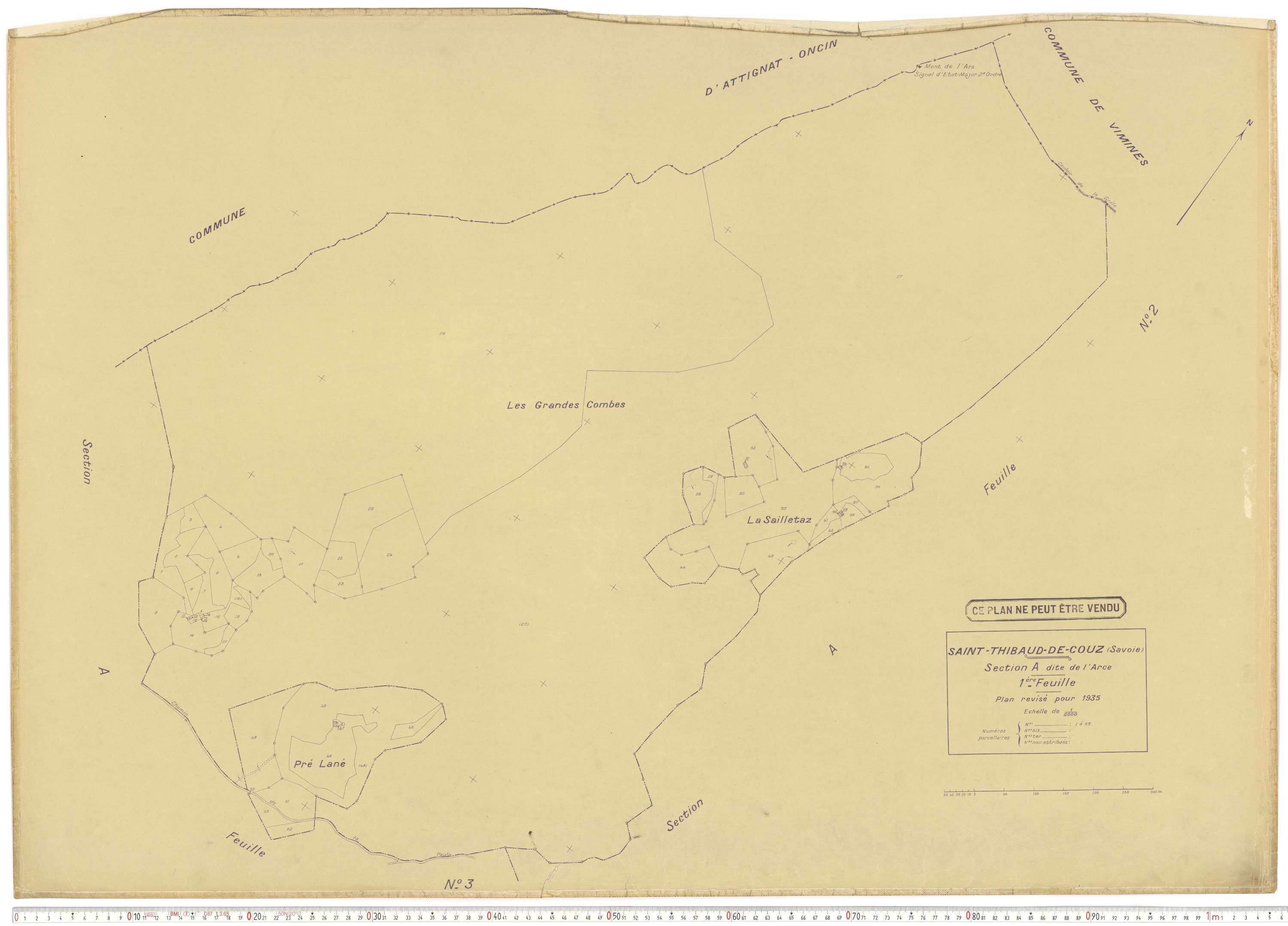 Saint-Thibaud-de-Couz - Plans cadastraux du cadastre rénové.