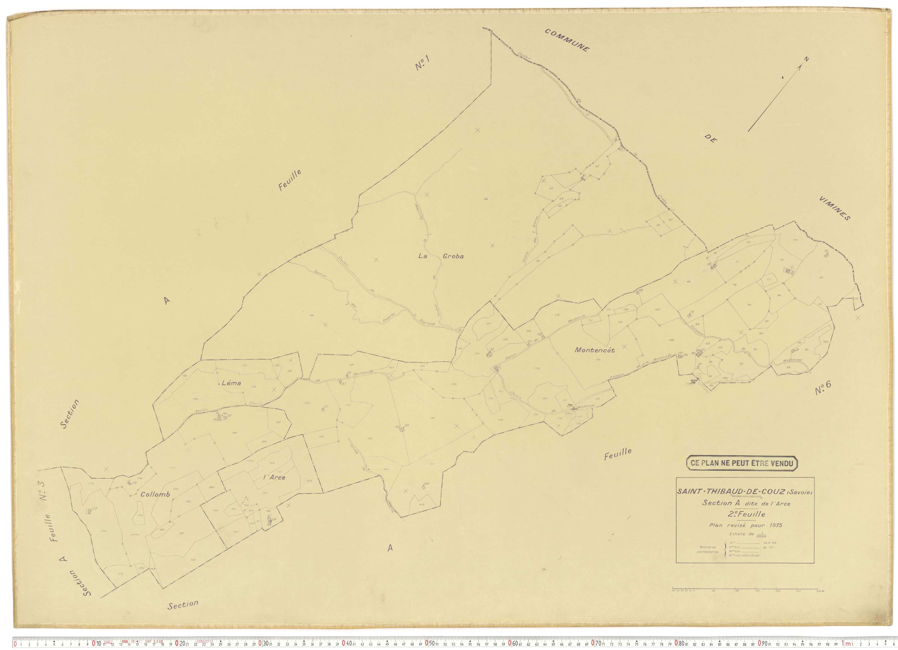 Saint-Thibaud-de-Couz - Plans cadastraux du cadastre rénové.