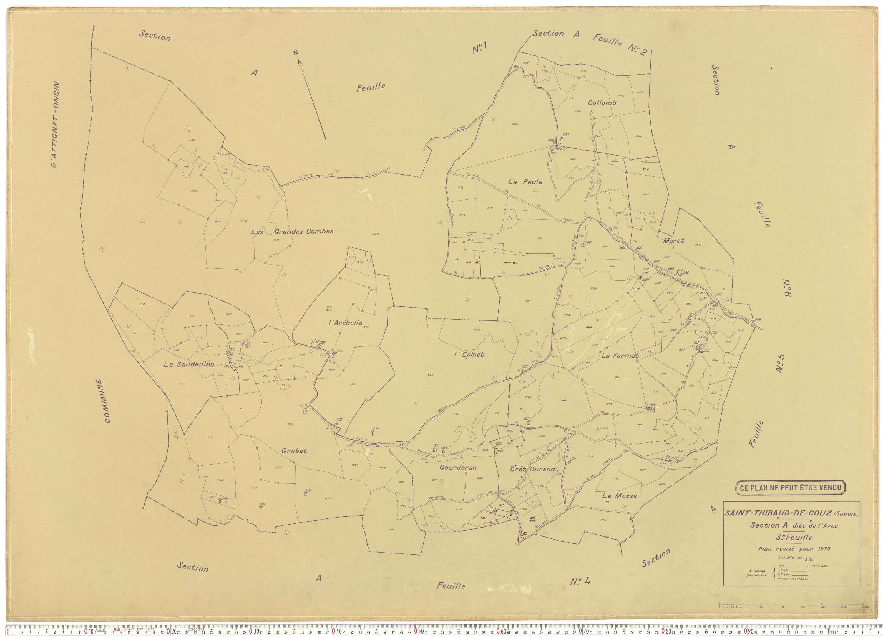Saint-Thibaud-de-Couz - Plans cadastraux du cadastre rénové.