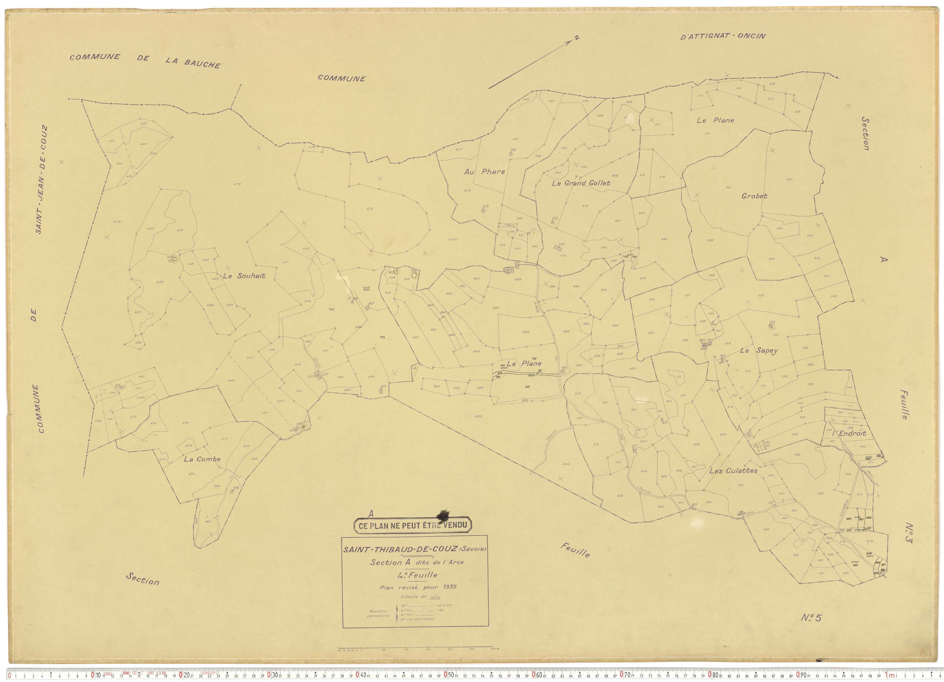Saint-Thibaud-de-Couz - Plans cadastraux du cadastre rénové.