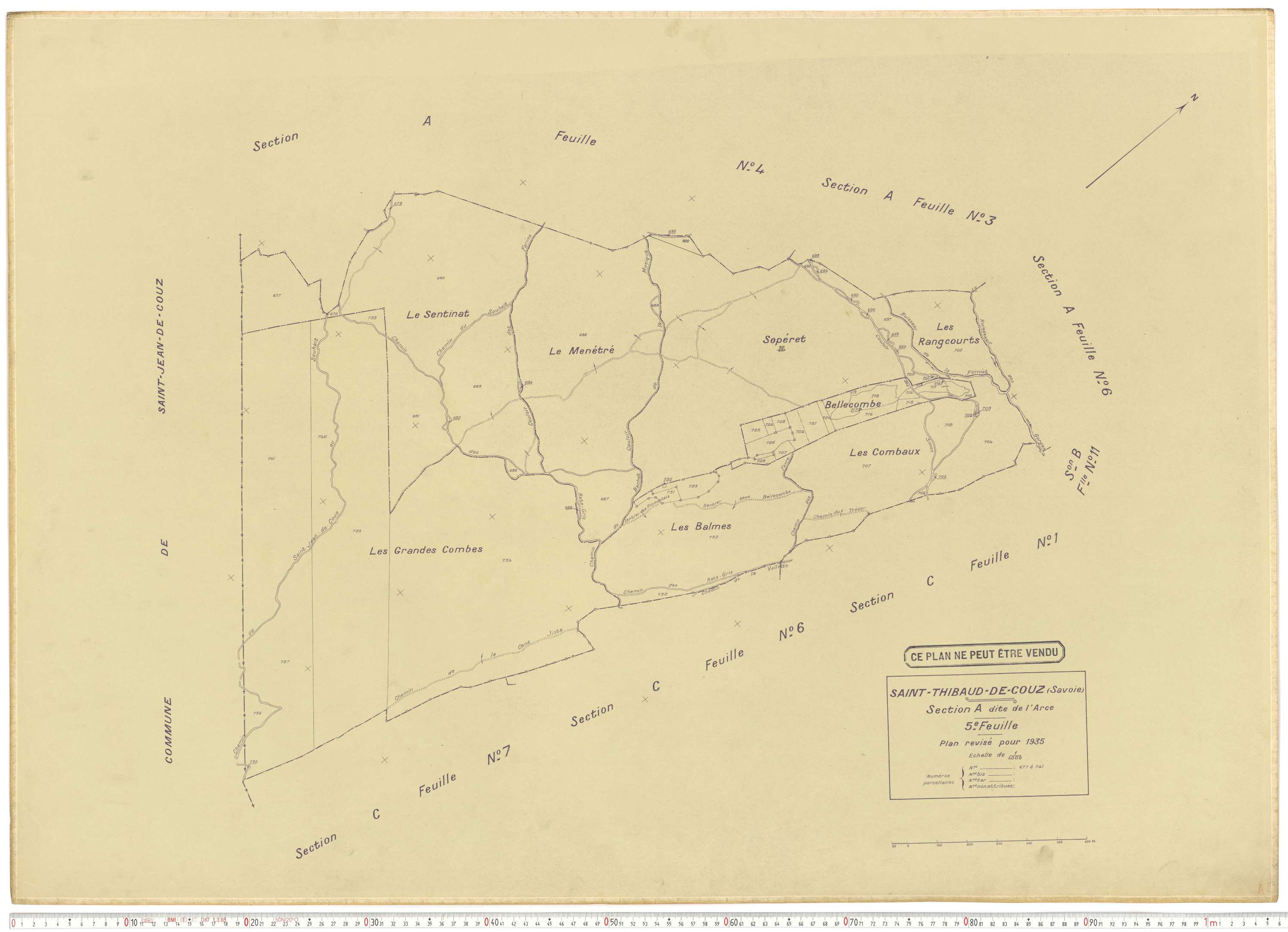 Saint-Thibaud-de-Couz - Plans cadastraux du cadastre rénové.
