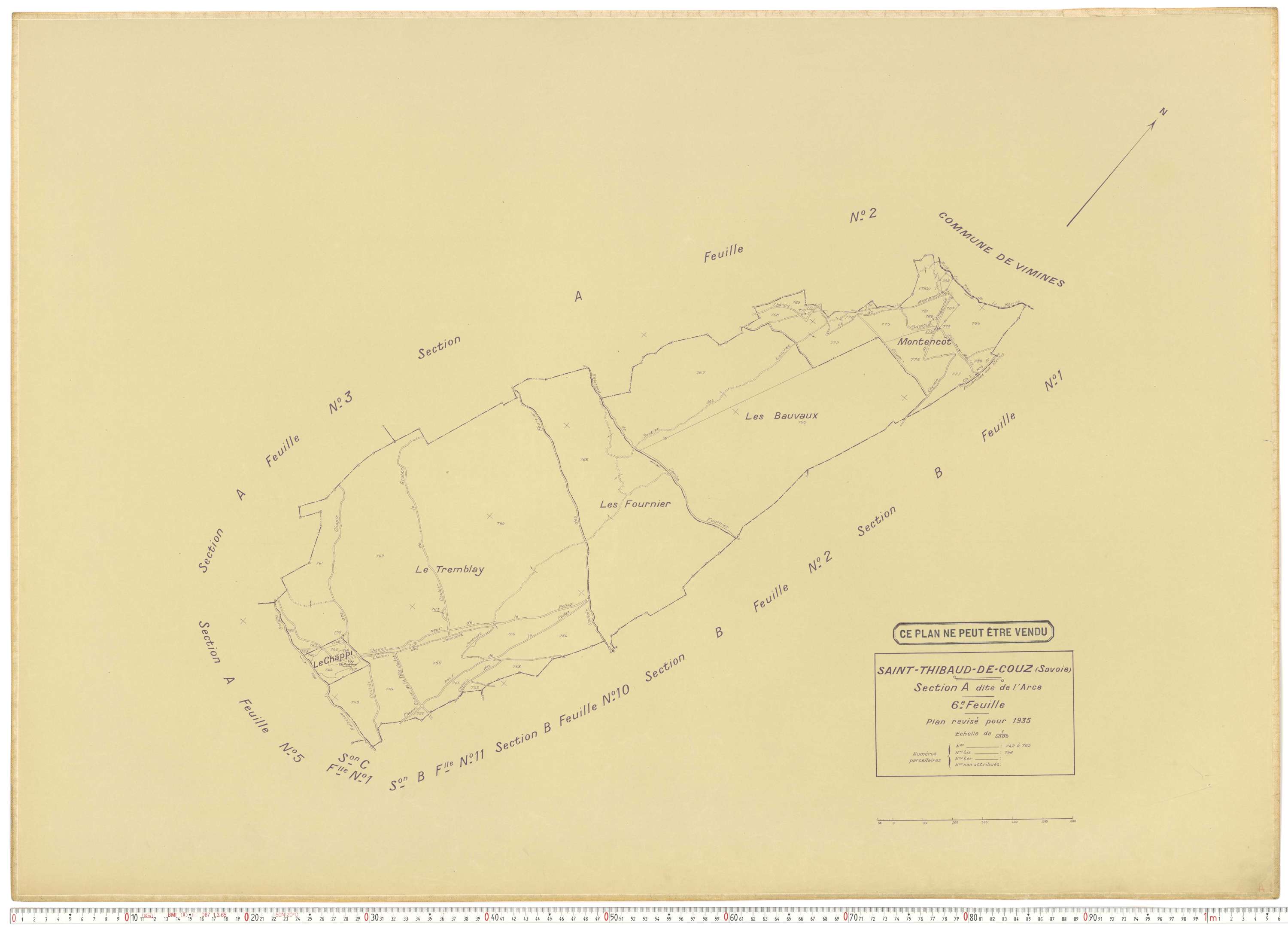 Saint-Thibaud-de-Couz - Plans cadastraux du cadastre rénové.