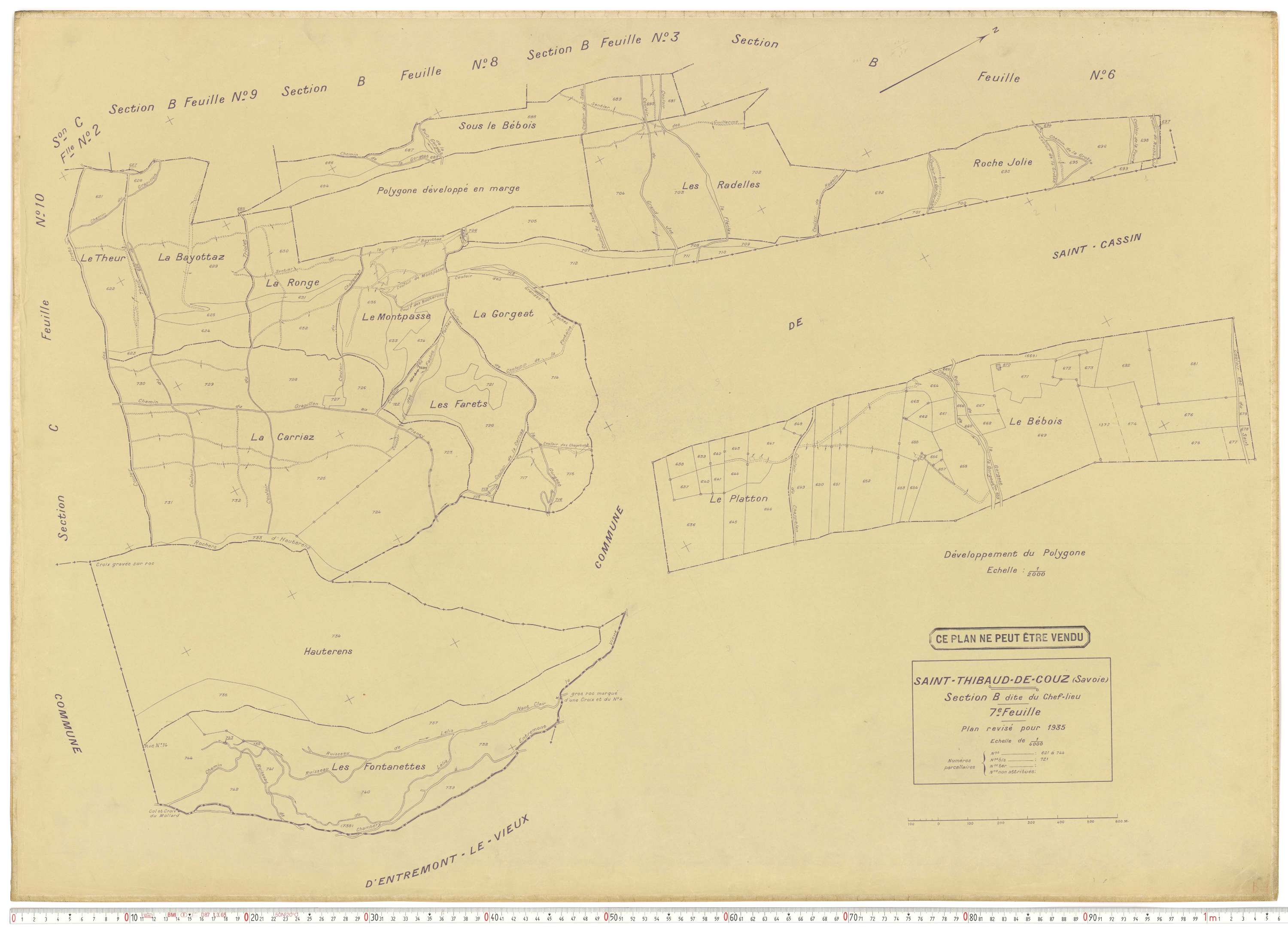 Saint-Thibaud-de-Couz - Plans cadastraux du cadastre rénové.