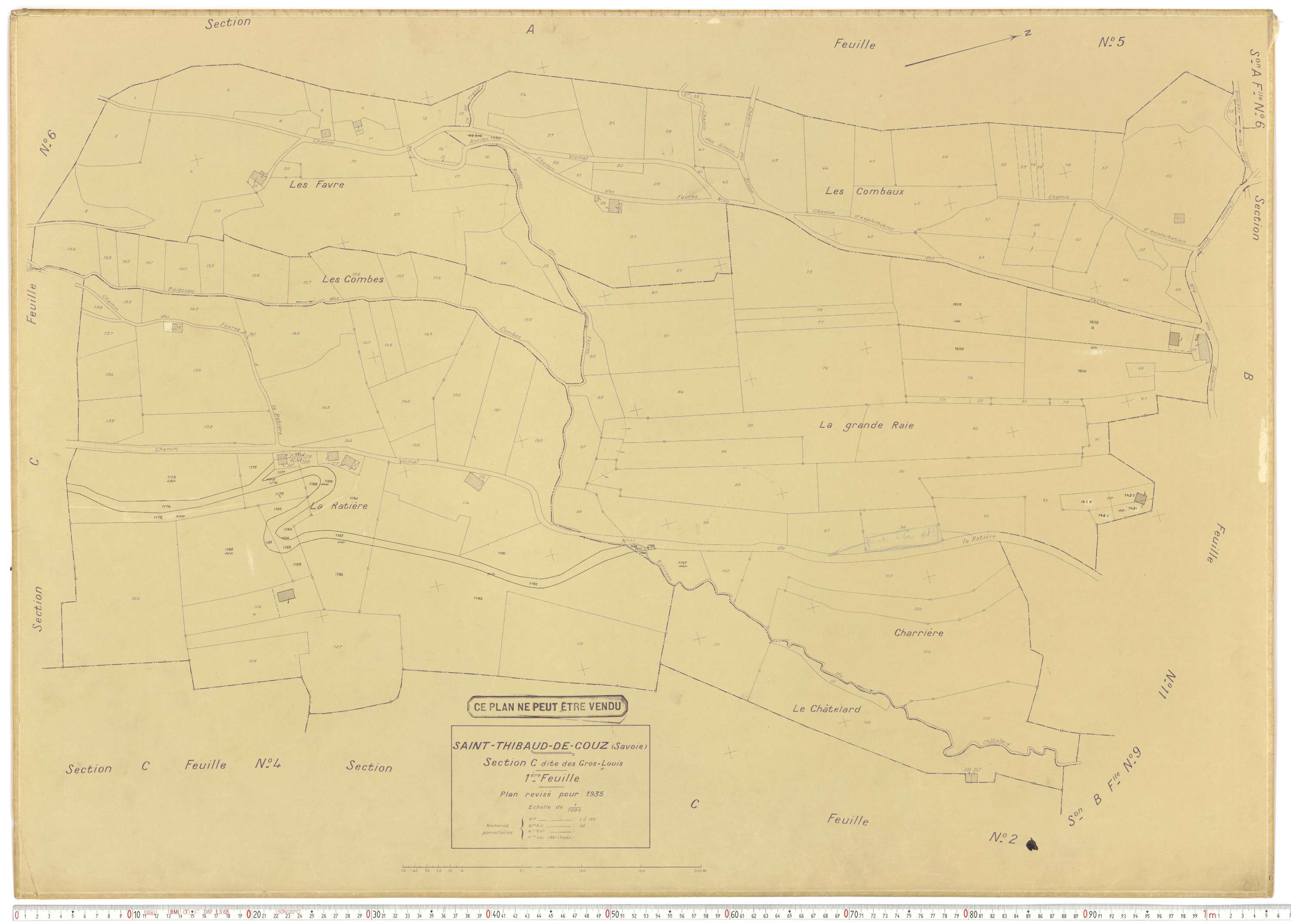 Saint-Thibaud-de-Couz - Plans cadastraux du cadastre rénové.