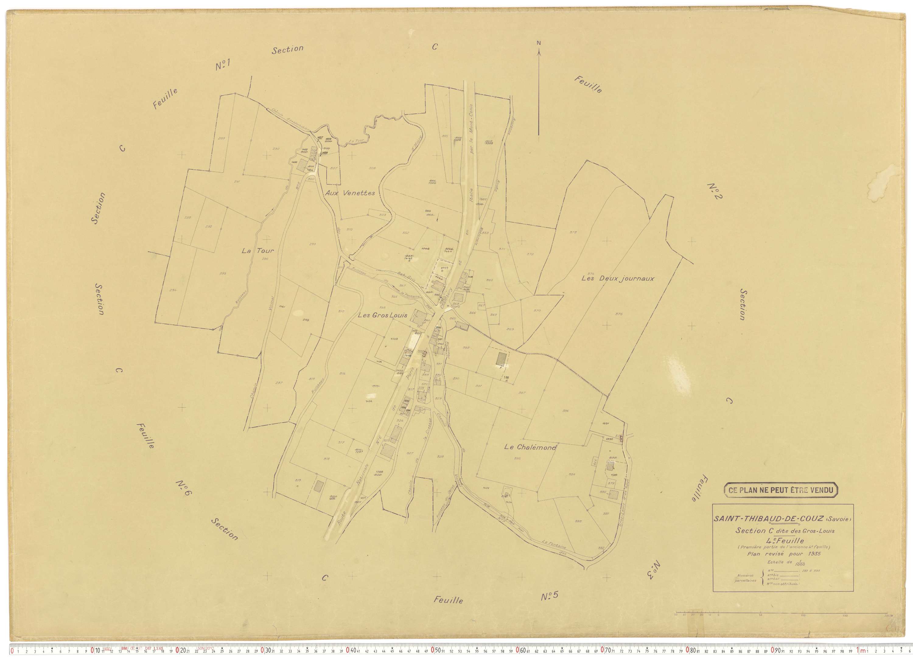 Saint-Thibaud-de-Couz - Plans cadastraux du cadastre rénové.