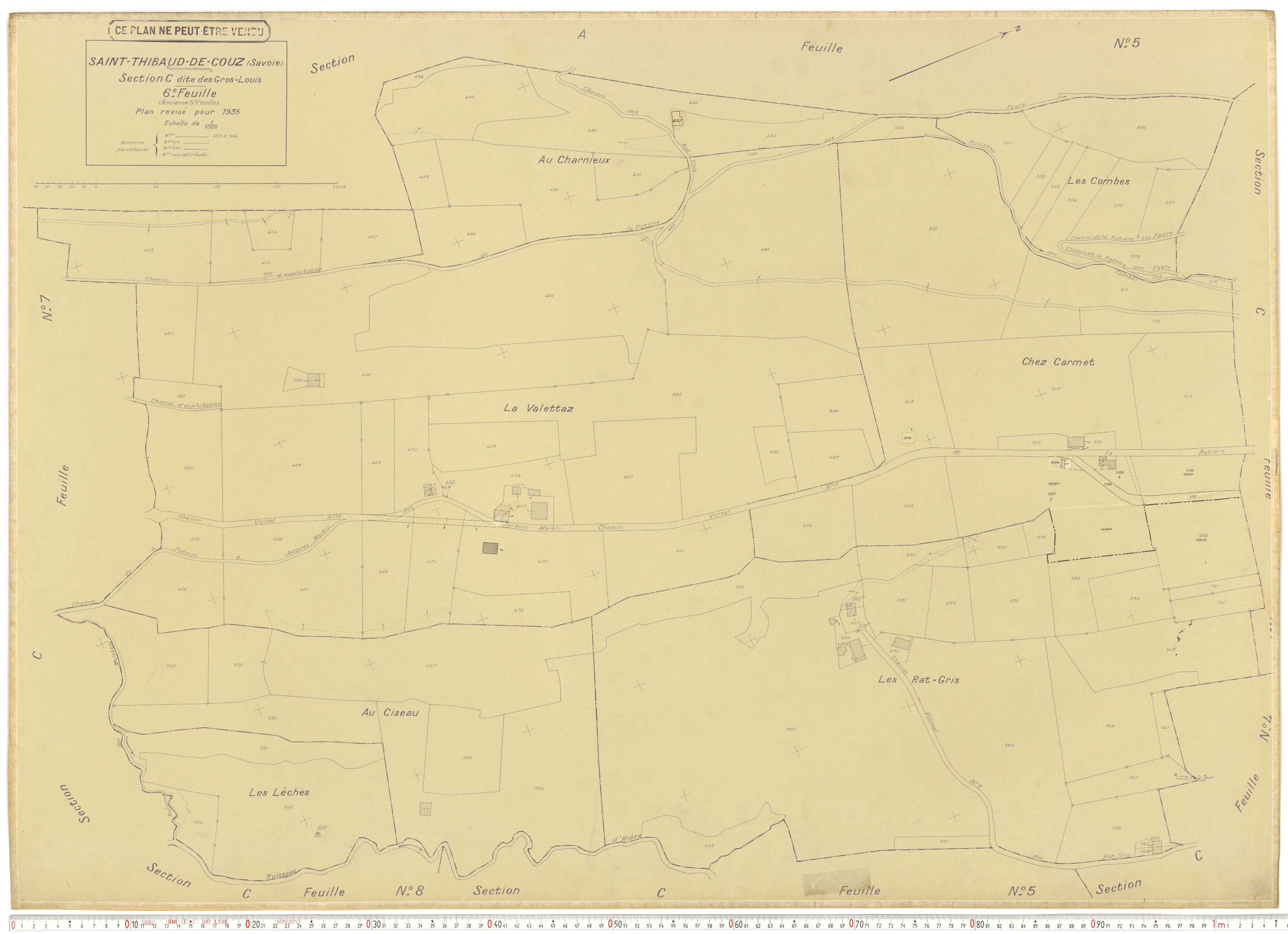 Saint-Thibaud-de-Couz - Plans cadastraux du cadastre rénové.
