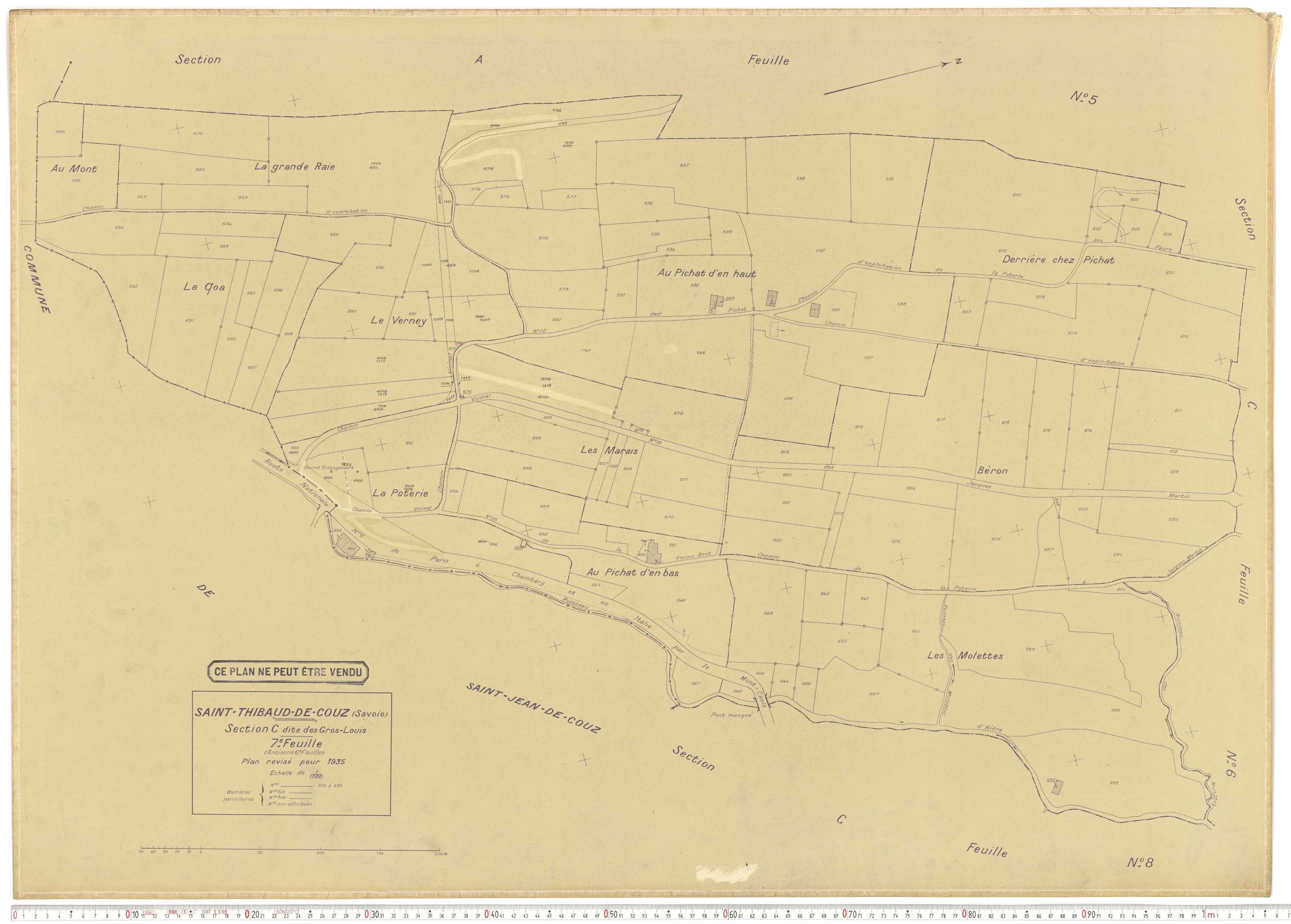 Saint-Thibaud-de-Couz - Plans cadastraux du cadastre rénové.